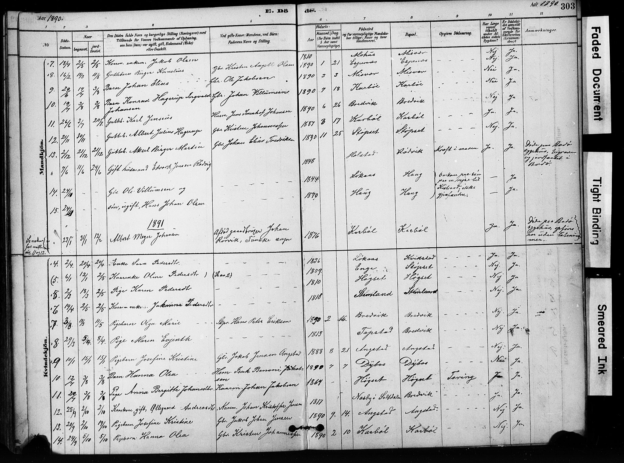 Ministerialprotokoller, klokkerbøker og fødselsregistre - Nordland, SAT/A-1459/852/L0754: Klokkerbok nr. 852C05, 1878-1894, s. 303