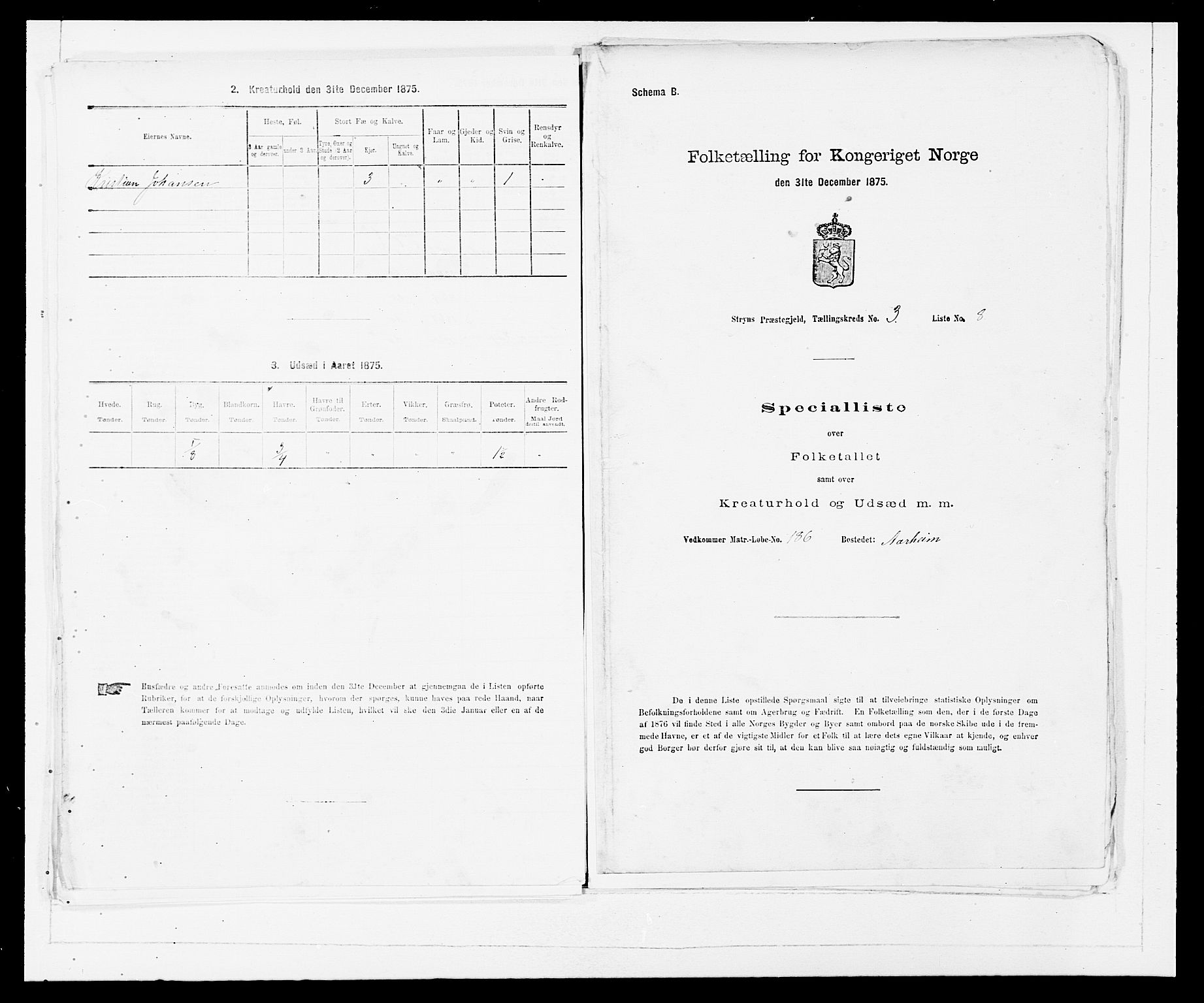 SAB, Folketelling 1875 for 1448P Stryn prestegjeld, 1875, s. 129