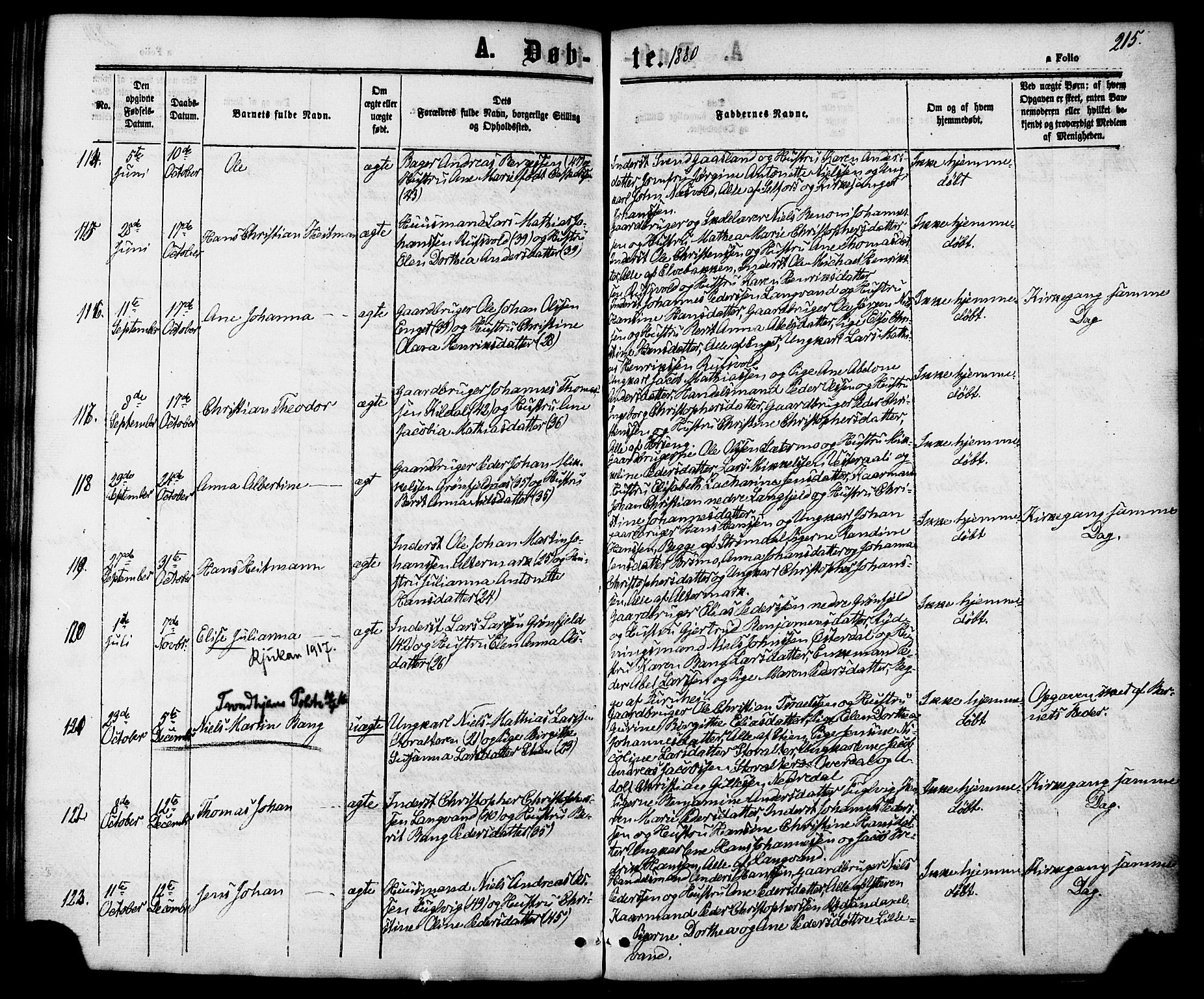 Ministerialprotokoller, klokkerbøker og fødselsregistre - Nordland, AV/SAT-A-1459/827/L0393: Ministerialbok nr. 827A05, 1863-1883, s. 215