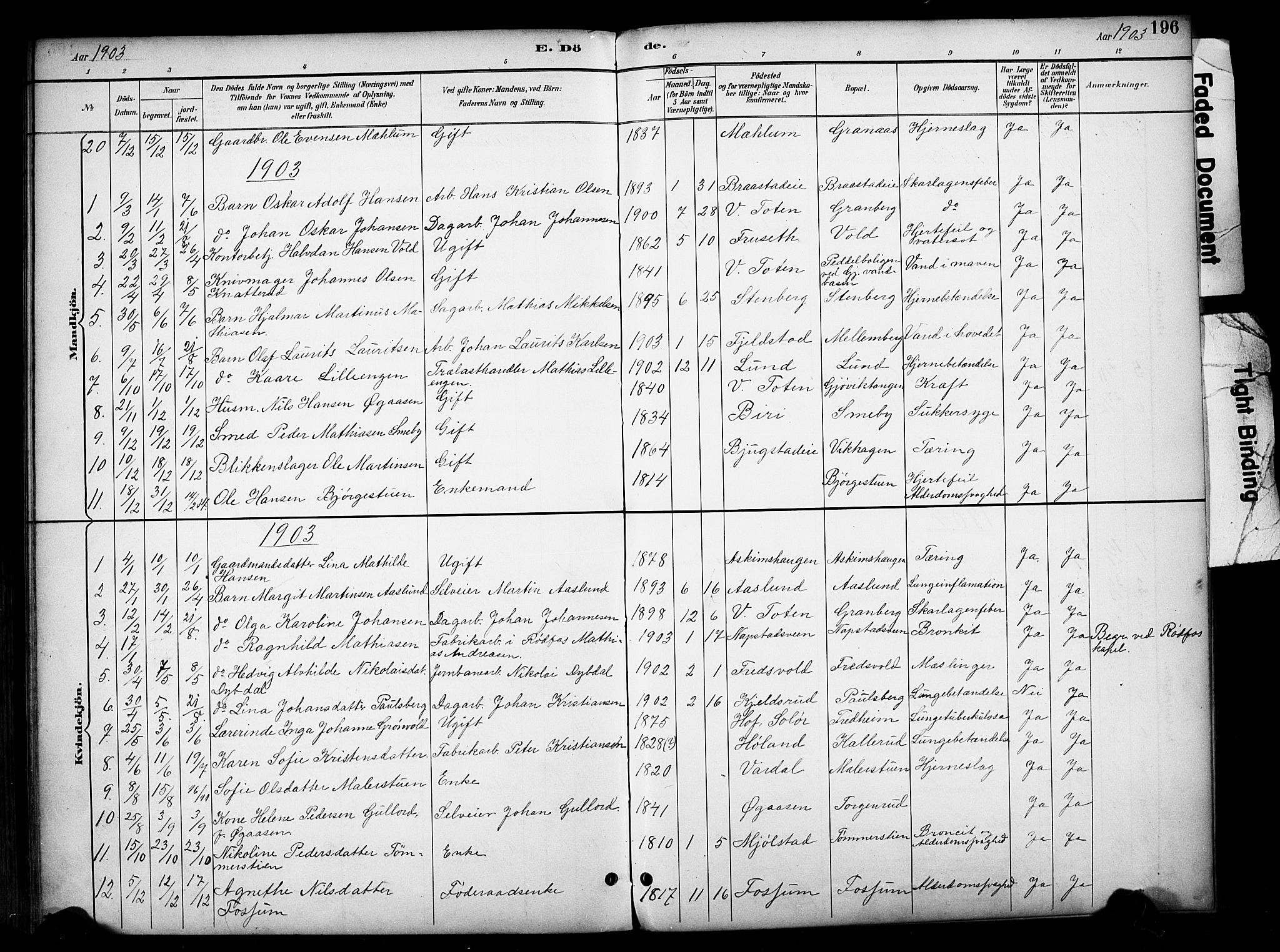 Vardal prestekontor, AV/SAH-PREST-100/H/Ha/Haa/L0012: Ministerialbok nr. 12, 1893-1904, s. 196