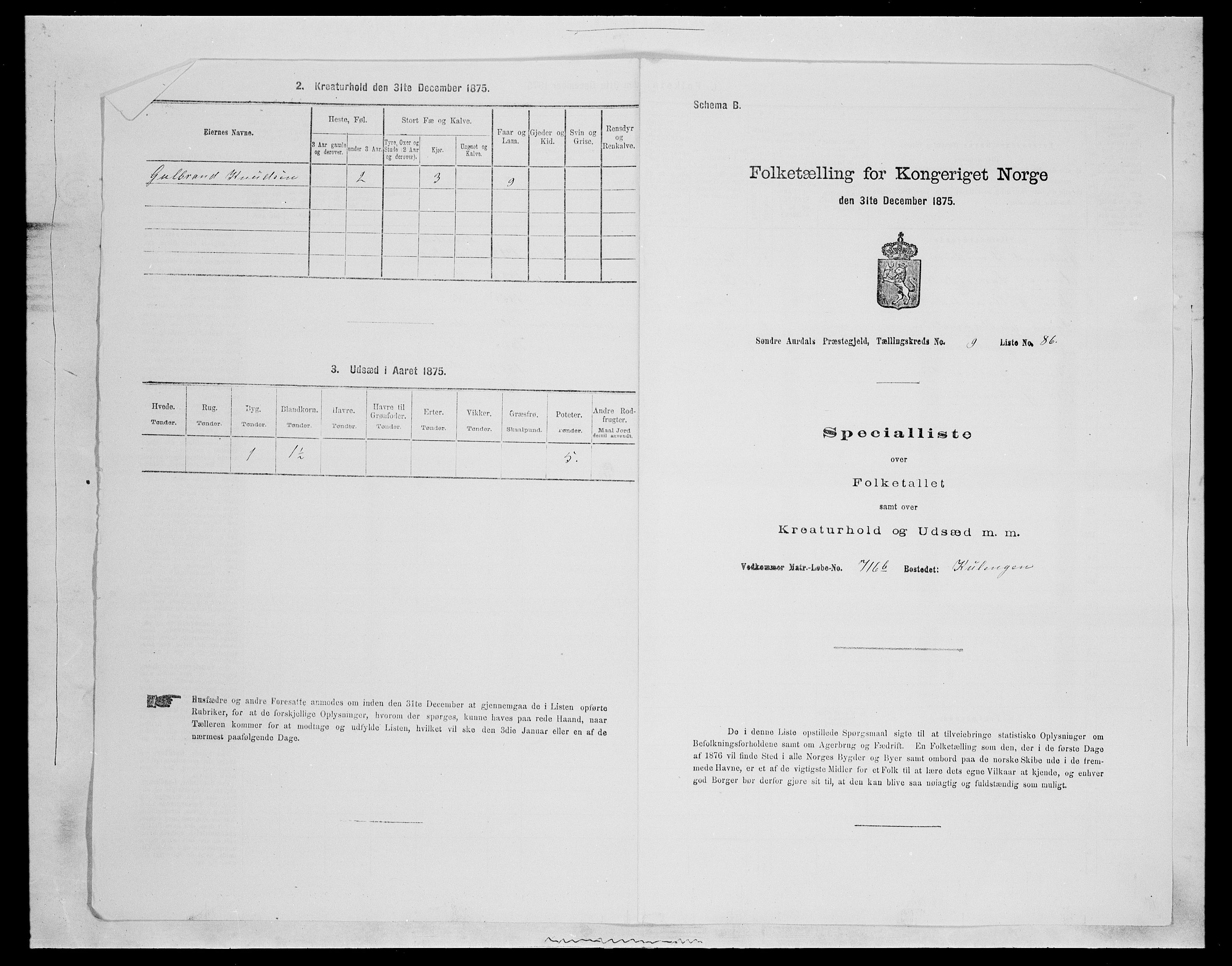 SAH, Folketelling 1875 for 0540P Sør-Aurdal prestegjeld, 1875, s. 1667