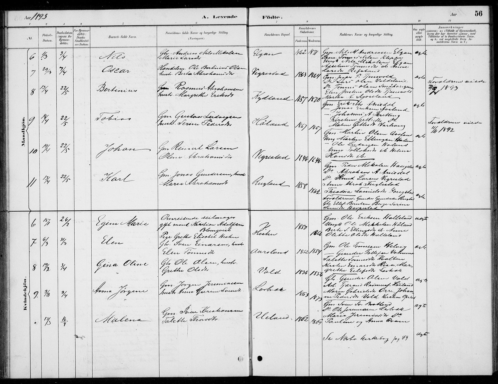 Hå sokneprestkontor, AV/SAST-A-101801/001/30BB/L0004: Klokkerbok nr. B 4, 1883-1899, s. 56