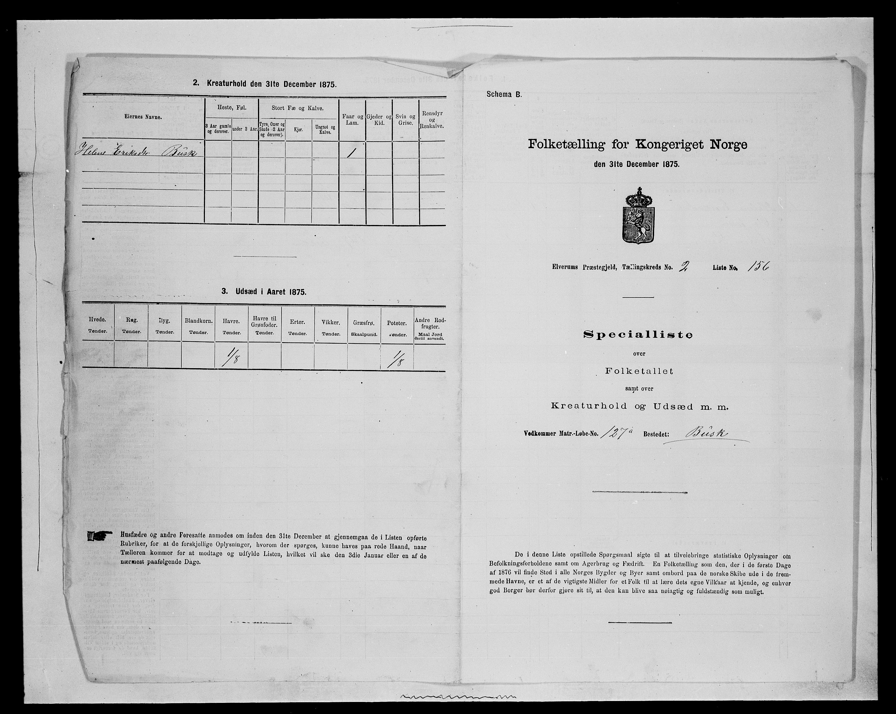 SAH, Folketelling 1875 for 0427P Elverum prestegjeld, 1875, s. 809