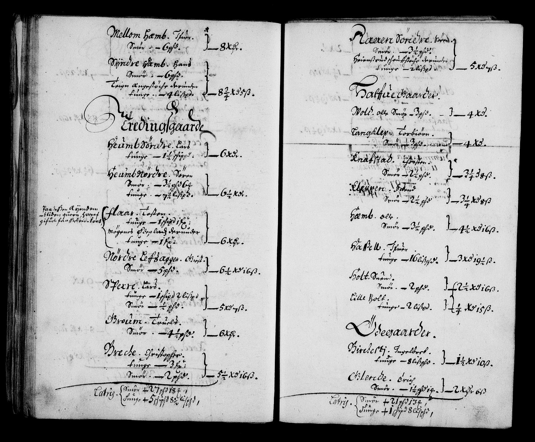 Rentekammeret inntil 1814, Realistisk ordnet avdeling, AV/RA-EA-4070/N/Na/L0003/0001: [XI h]: Tønsbergs amt og Larvik grevskaps jordebøker: / (A) Leilendigsskatt inkl. håndverkere, husmenn og strandsittere, samt Griffenfelds jordegods i Larvik grevskap., 1674