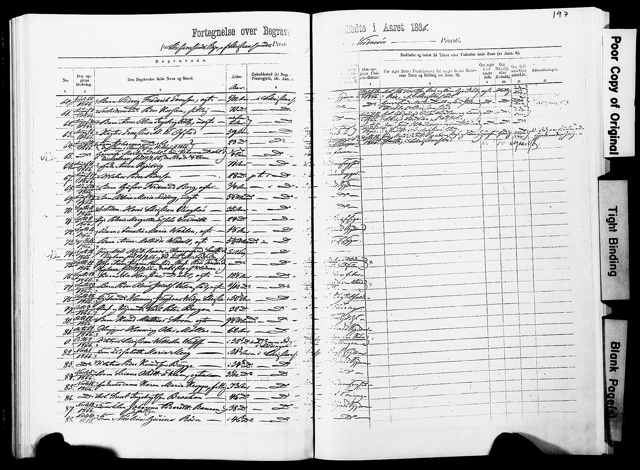 Ministerialprotokoller, klokkerbøker og fødselsregistre - Møre og Romsdal, SAT/A-1454/572/L0857: Ministerialbok nr. 572D01, 1866-1872, s. 196-197