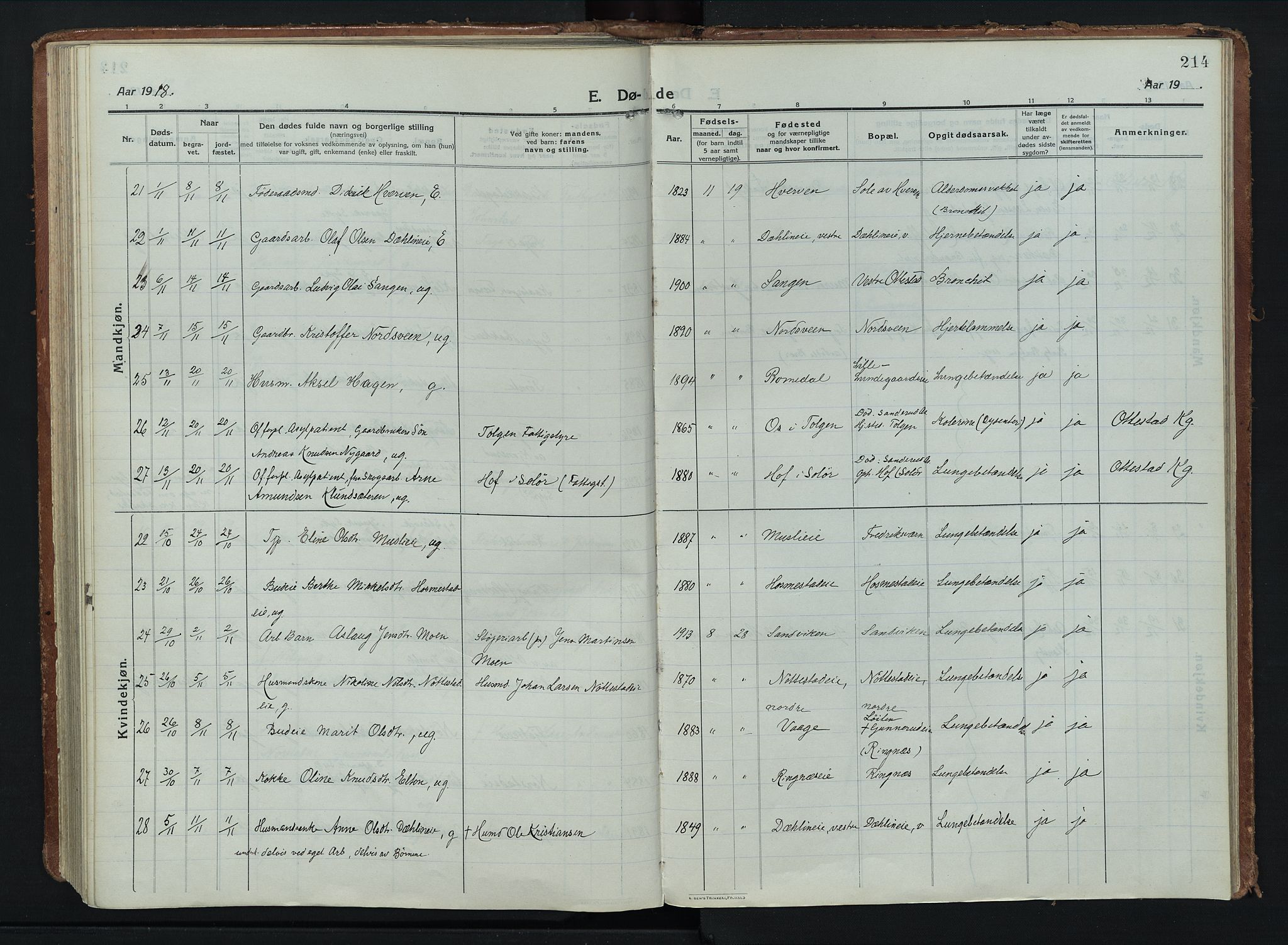 Stange prestekontor, AV/SAH-PREST-002/K/L0028: Ministerialbok nr. 28, 1913-1932, s. 214