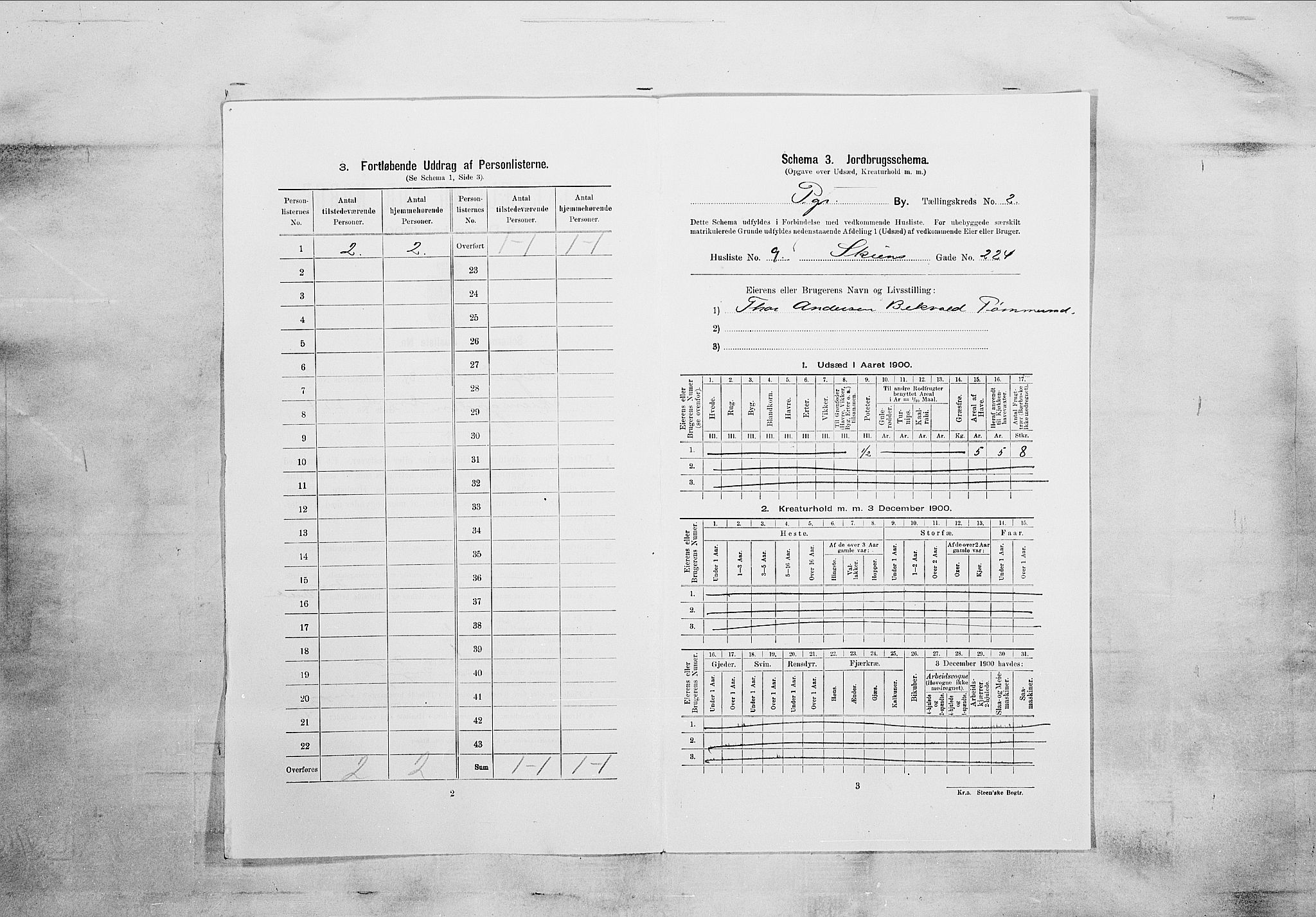 SAKO, Folketelling 1900 for 0805 Porsgrunn kjøpstad, 1900, s. 195