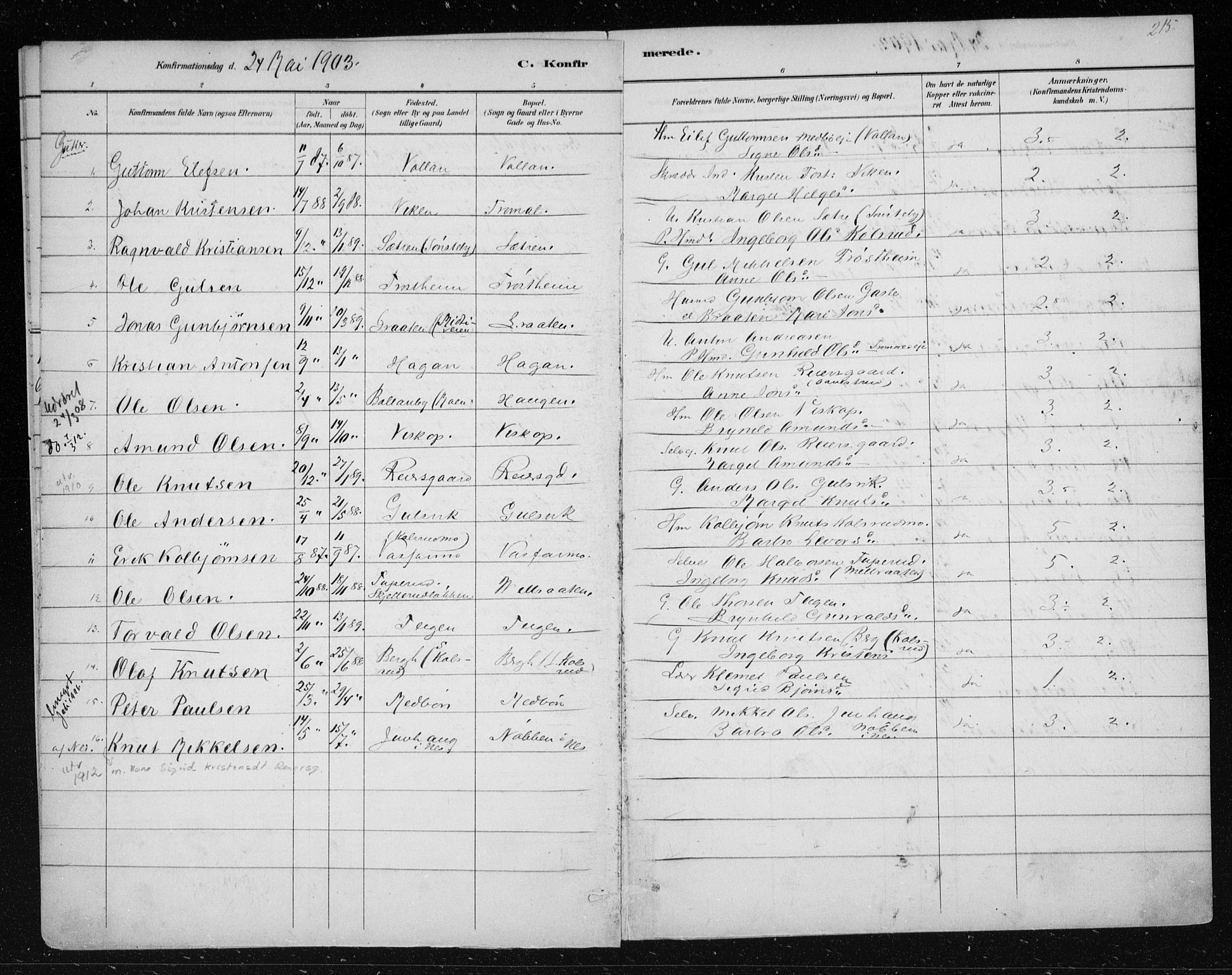 Nes kirkebøker, AV/SAKO-A-236/F/Fa/L0012: Ministerialbok nr. 12, 1881-1917, s. 215