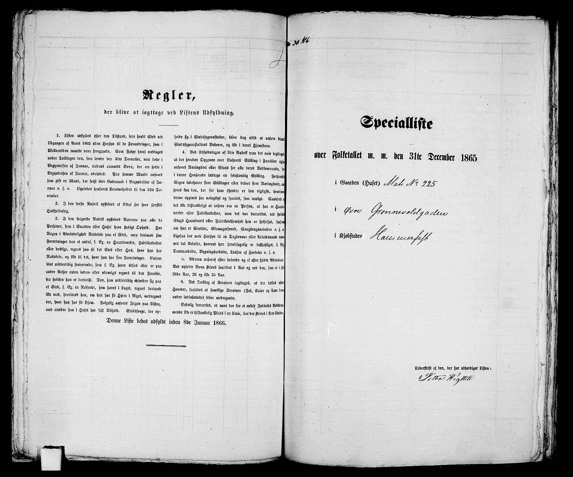 RA, Folketelling 1865 for 2001B Hammerfest prestegjeld, Hammerfest kjøpstad, 1865, s. 219