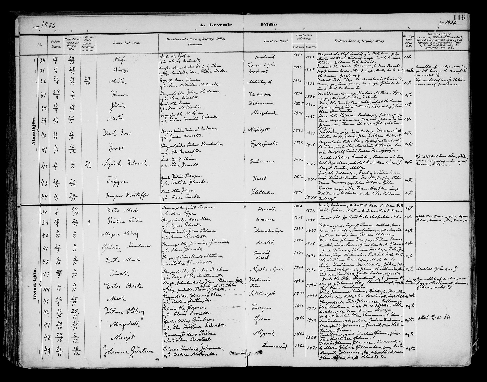 Brandval prestekontor, AV/SAH-PREST-034/H/Ha/Haa/L0003: Ministerialbok nr. 3, 1894-1909, s. 116