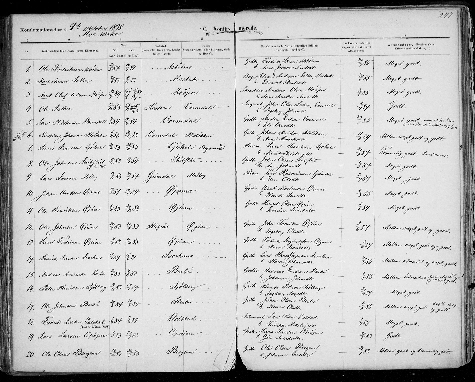 Ministerialprotokoller, klokkerbøker og fødselsregistre - Sør-Trøndelag, SAT/A-1456/668/L0811: Ministerialbok nr. 668A11, 1894-1913, s. 247