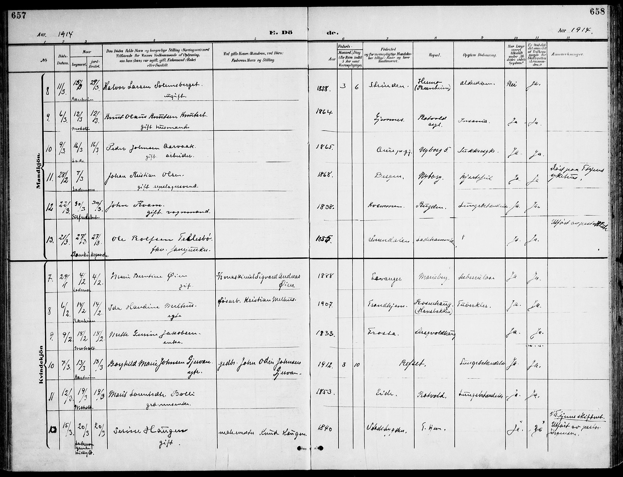 Ministerialprotokoller, klokkerbøker og fødselsregistre - Sør-Trøndelag, SAT/A-1456/607/L0320: Ministerialbok nr. 607A04, 1907-1915, s. 657-658
