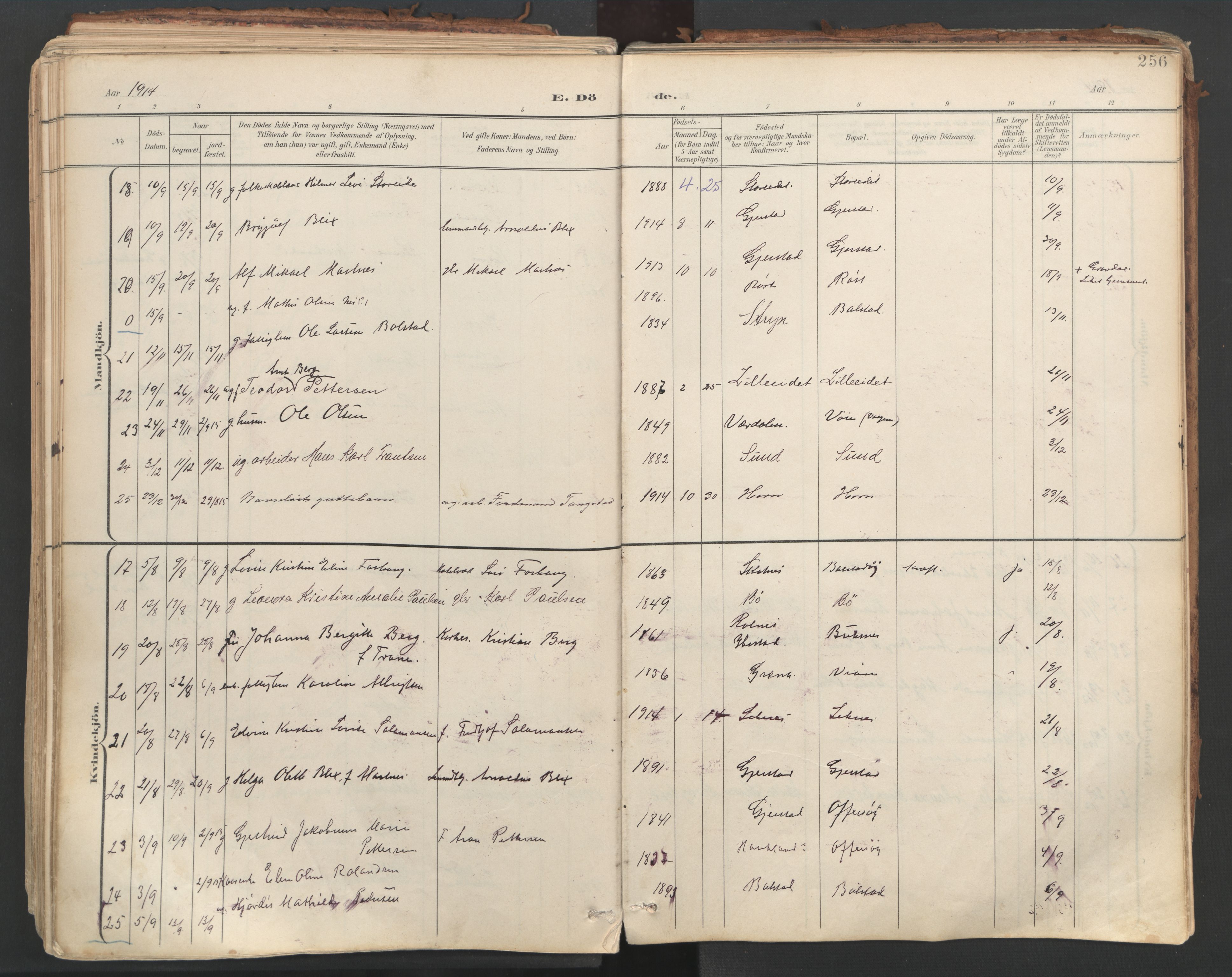 Ministerialprotokoller, klokkerbøker og fødselsregistre - Nordland, AV/SAT-A-1459/881/L1154: Ministerialbok nr. 881A07, 1907-1918, s. 256