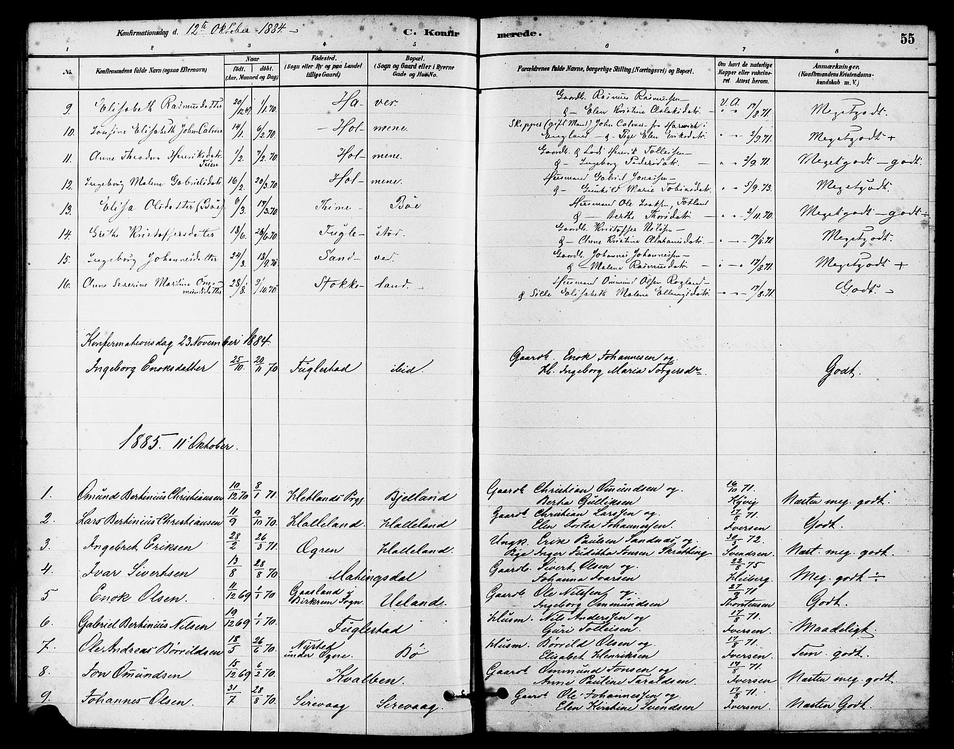 Eigersund sokneprestkontor, SAST/A-101807/S08/L0016: Ministerialbok nr. A 16, 1879-1893, s. 55