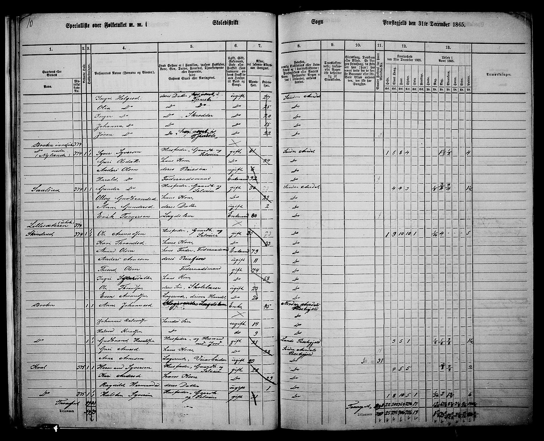 RA, Folketelling 1865 for 0540P Sør-Aurdal prestegjeld, 1865, s. 26