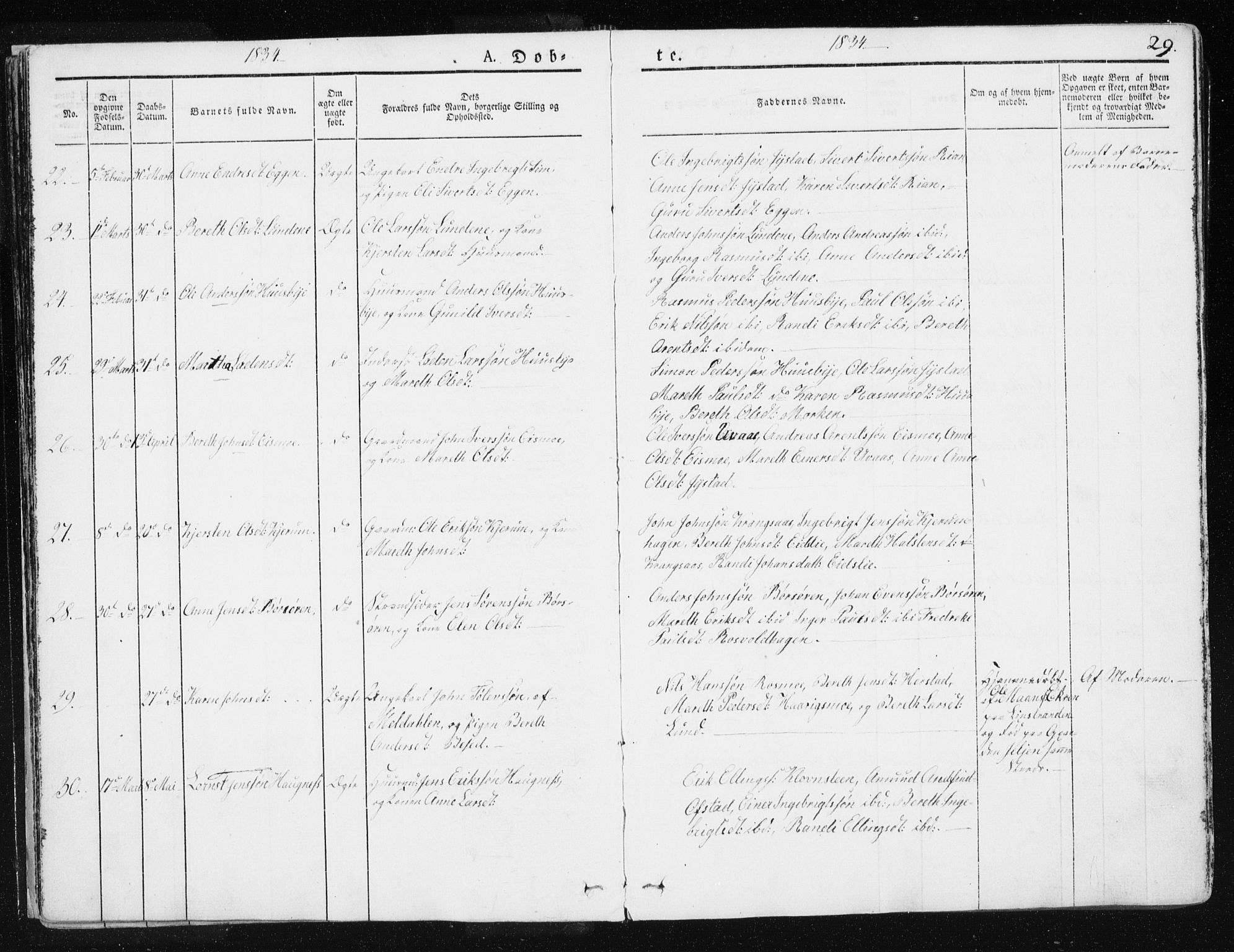 Ministerialprotokoller, klokkerbøker og fødselsregistre - Sør-Trøndelag, SAT/A-1456/665/L0771: Ministerialbok nr. 665A06, 1830-1856, s. 29