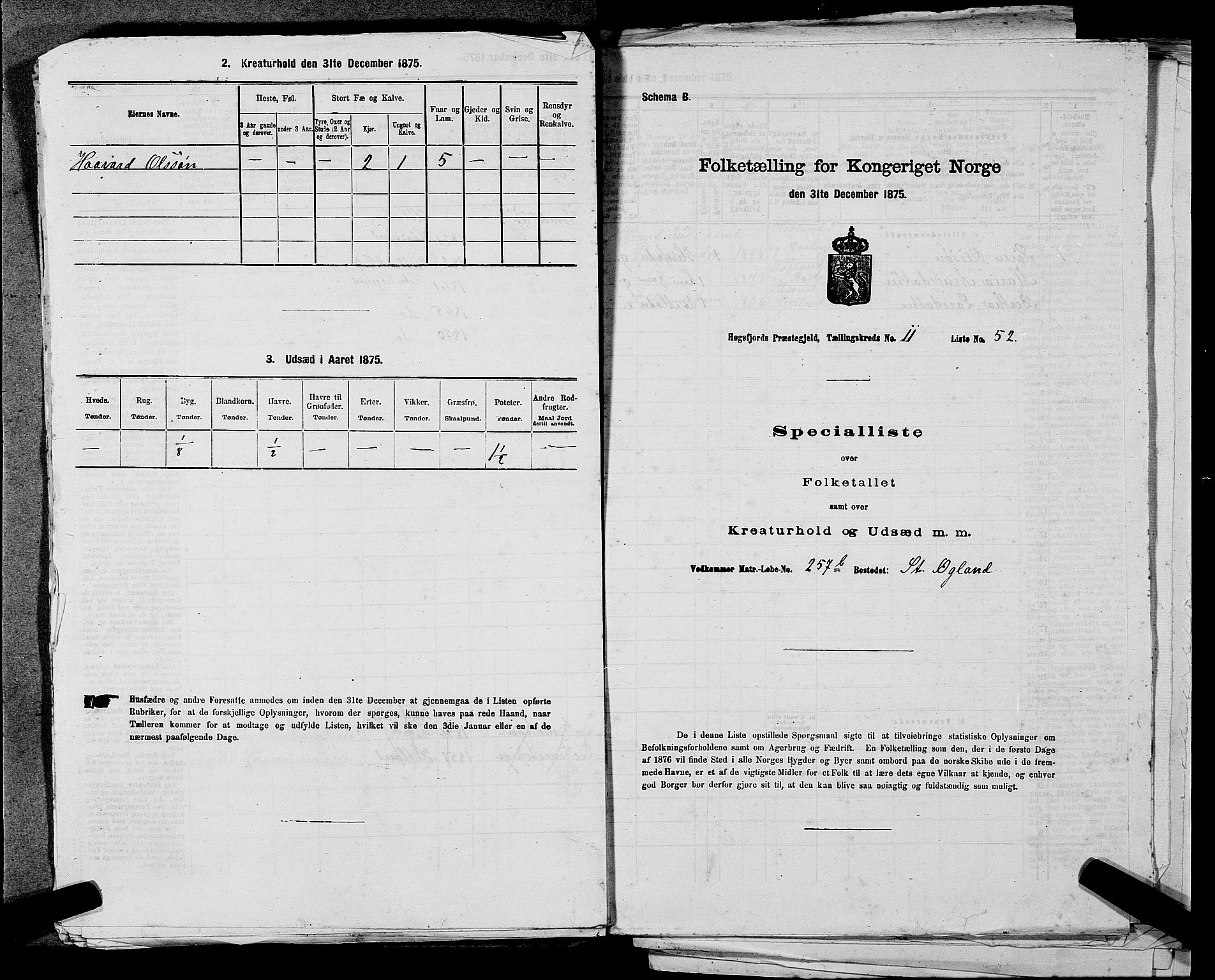 SAST, Folketelling 1875 for 1128P Høgsfjord prestegjeld, 1875, s. 999