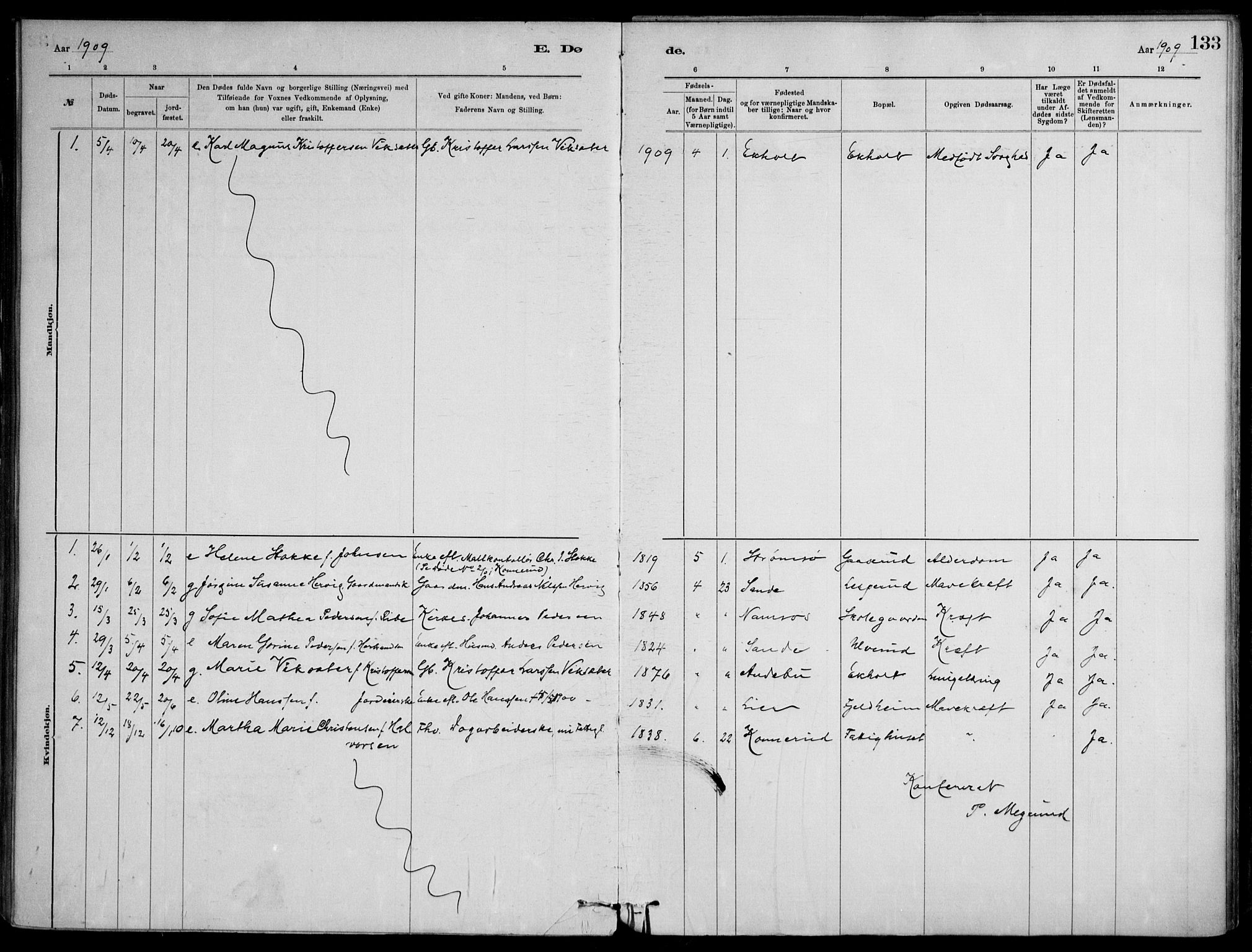 Skoger kirkebøker, AV/SAKO-A-59/F/Fb/L0001: Ministerialbok nr. II 1, 1885-1913, s. 133