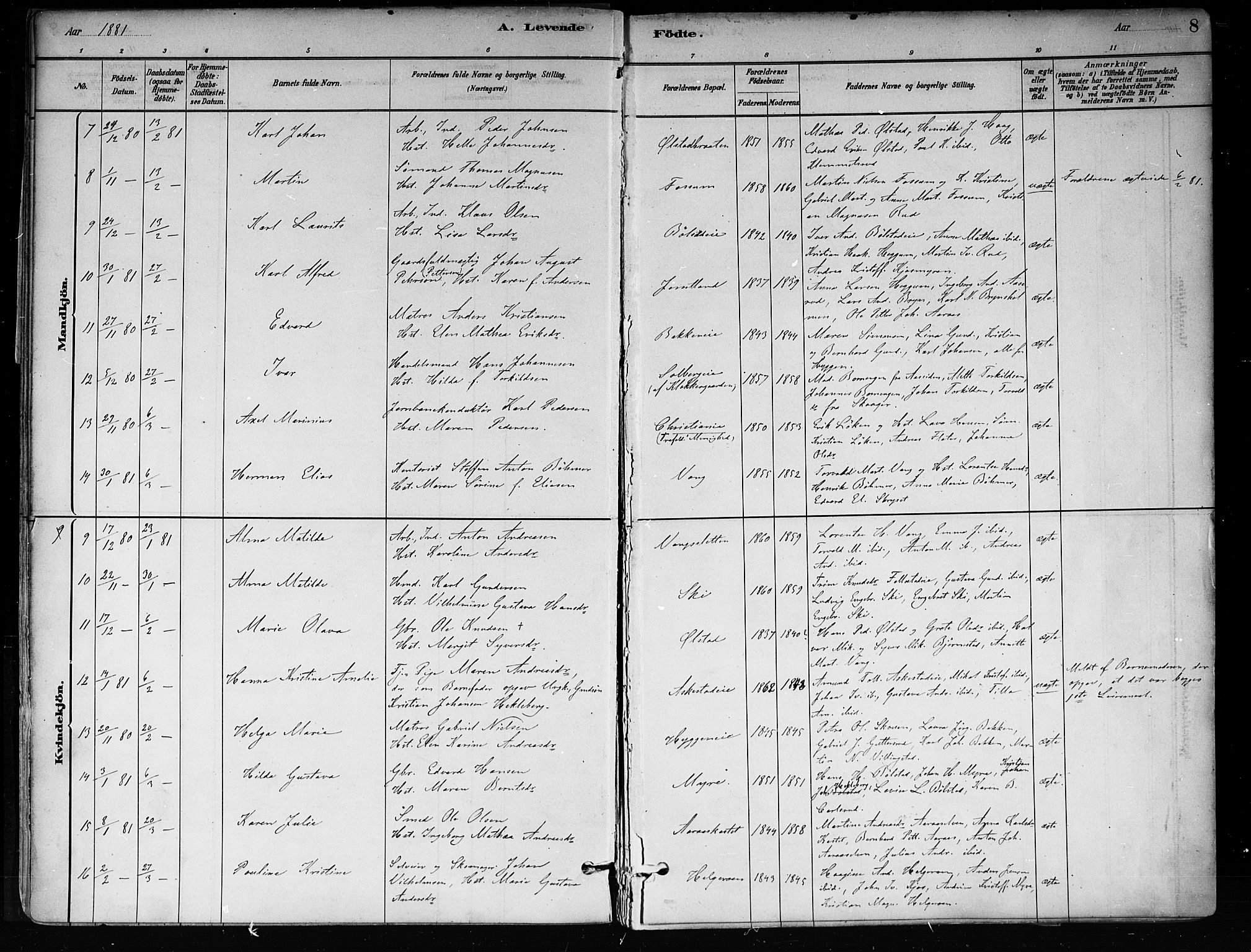 Røyken kirkebøker, AV/SAKO-A-241/F/Fa/L0008: Ministerialbok nr. 8, 1880-1897, s. 8