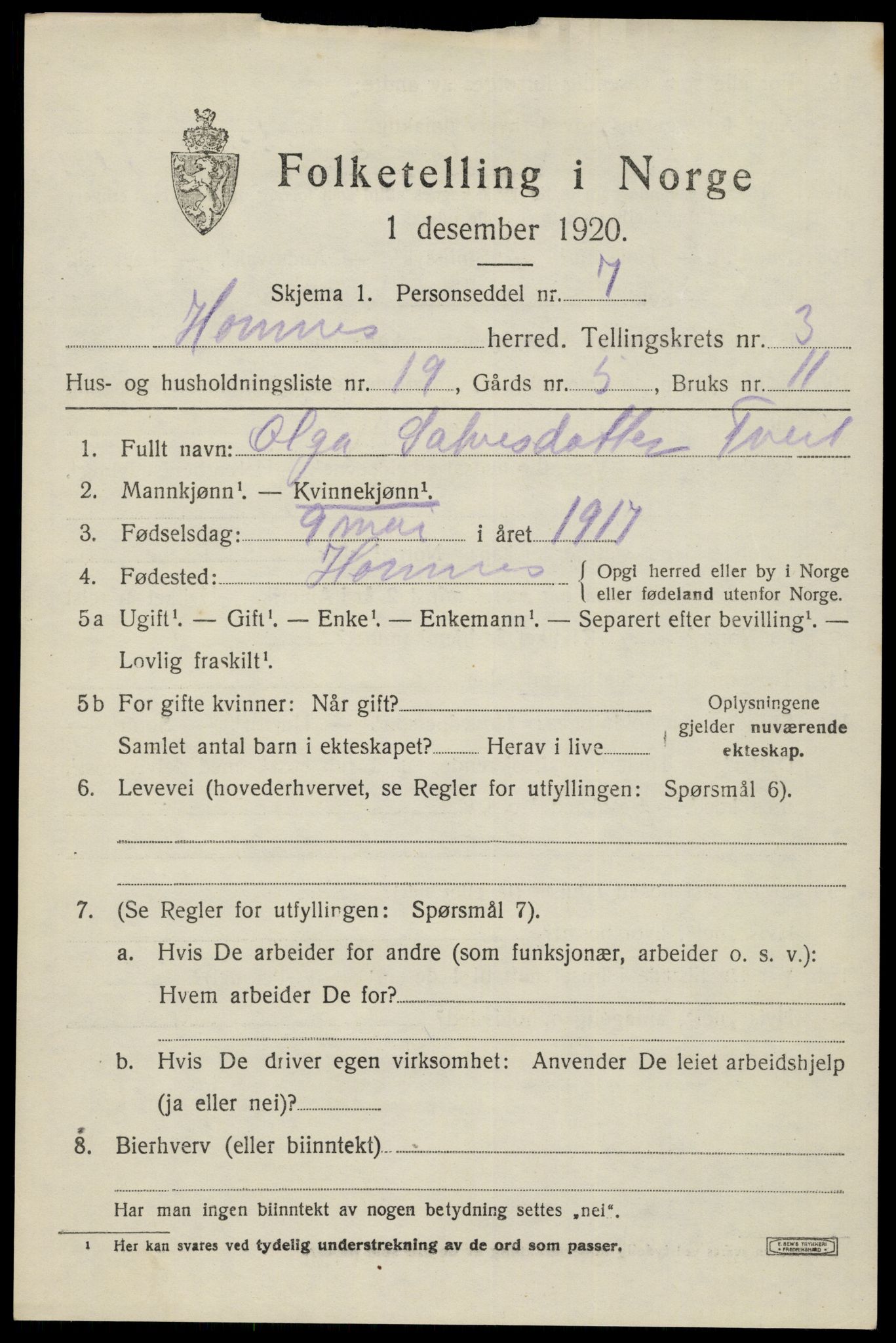 SAK, Folketelling 1920 for 0936 Hornnes herred, 1920, s. 1033