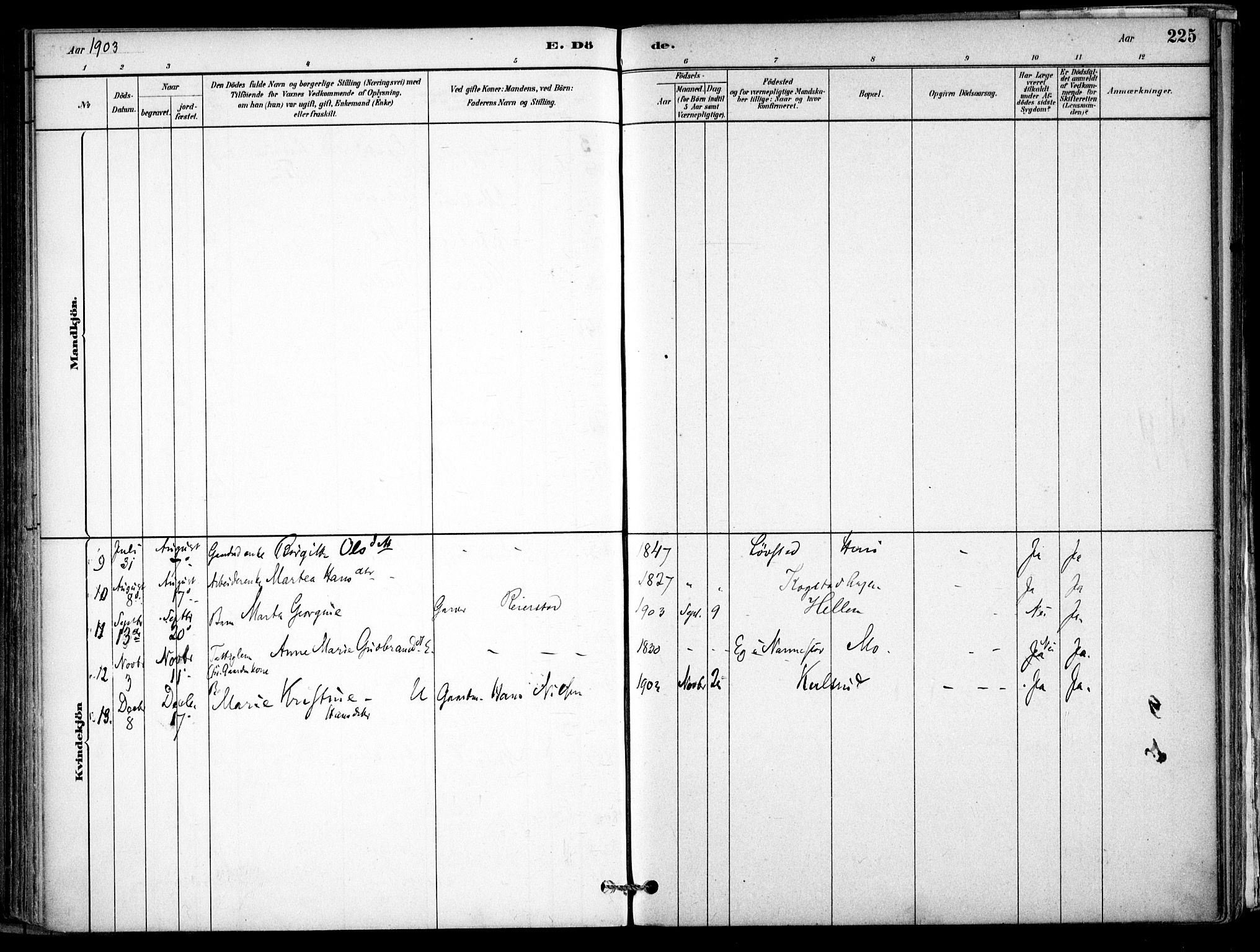 Gjerdrum prestekontor Kirkebøker, SAO/A-10412b/F/Fb/L0001: Ministerialbok nr. II 1, 1881-1921, s. 225