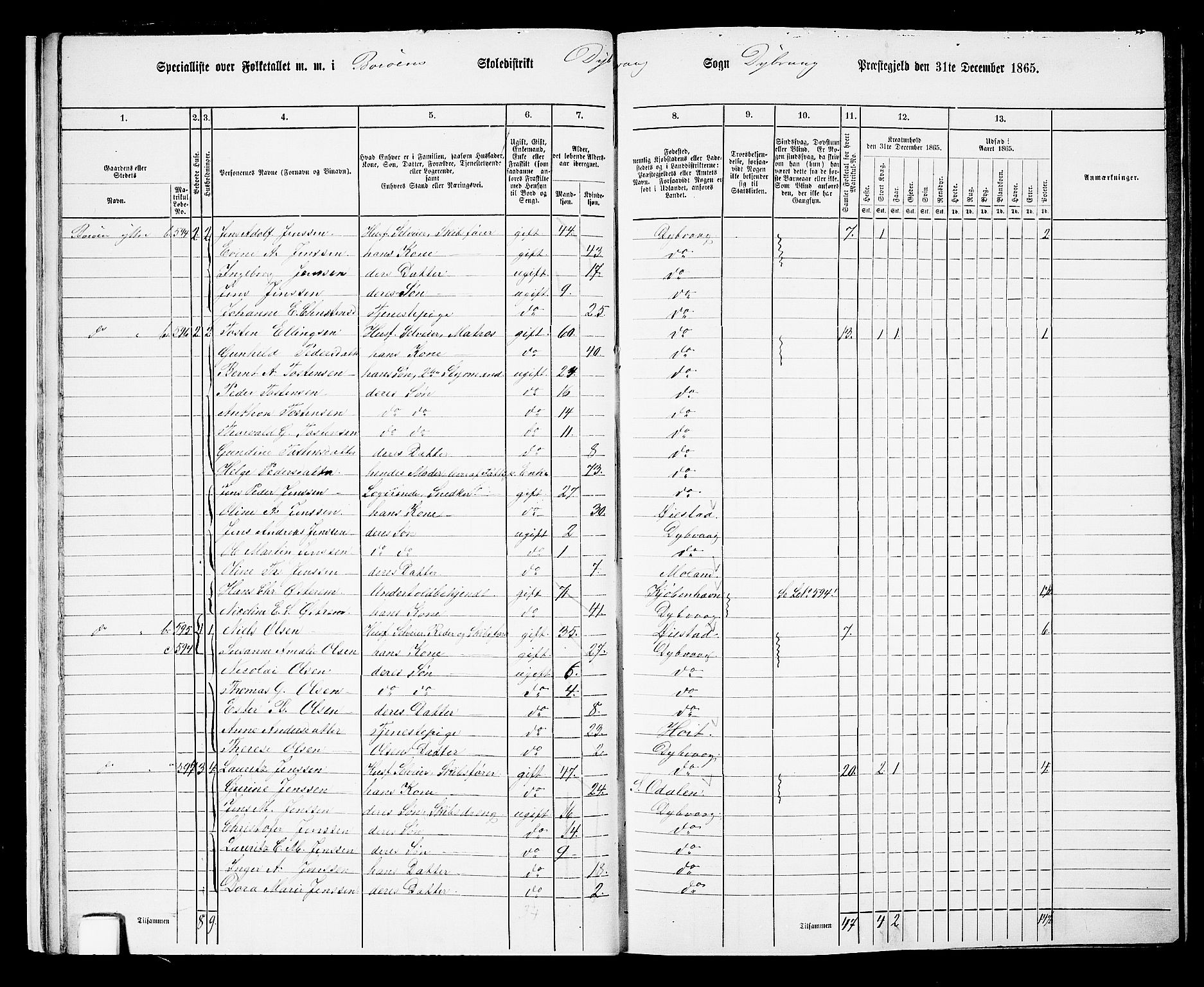 RA, Folketelling 1865 for 0915P Dypvåg prestegjeld, 1865, s. 18