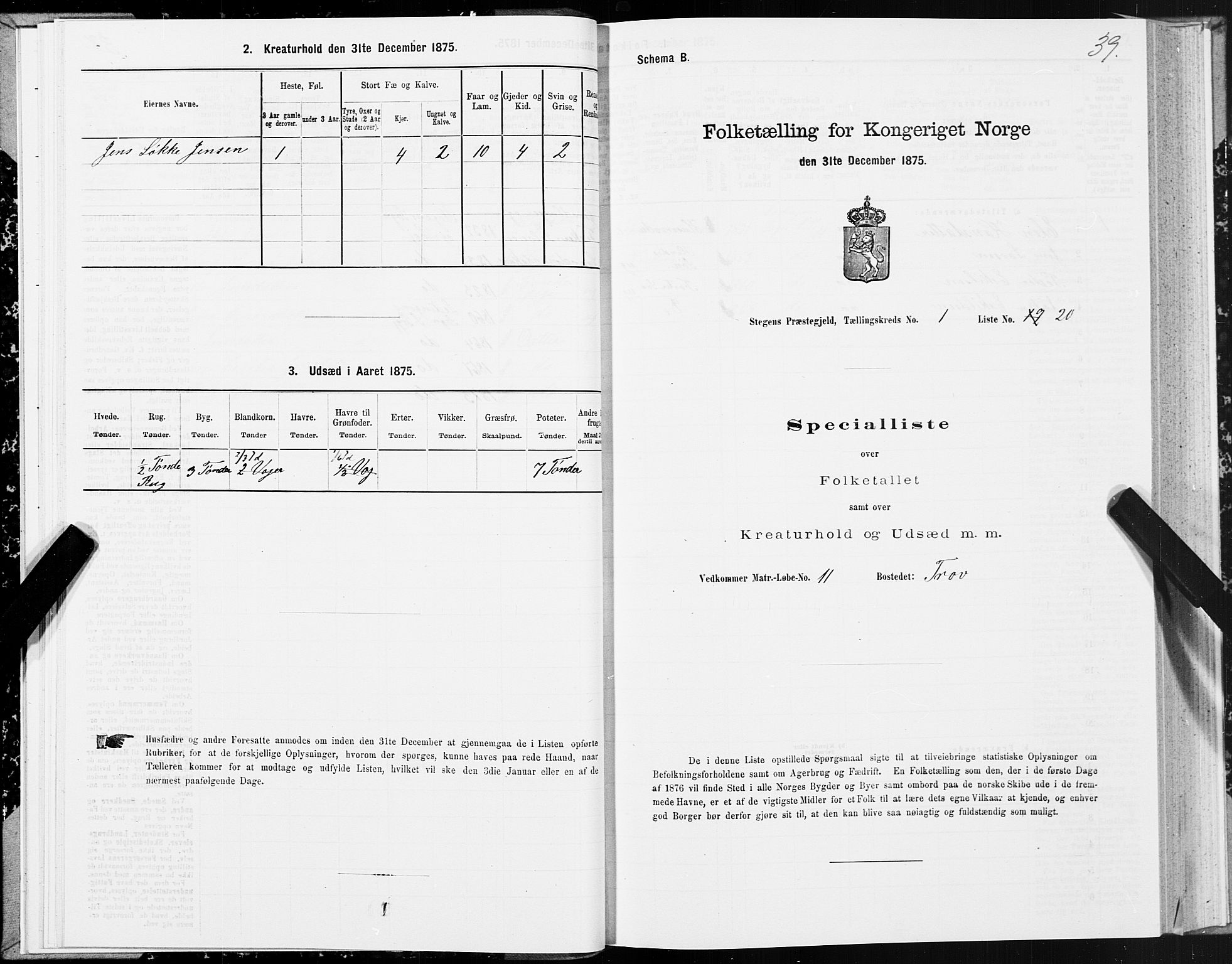 SAT, Folketelling 1875 for 1848P Steigen prestegjeld, 1875, s. 1039