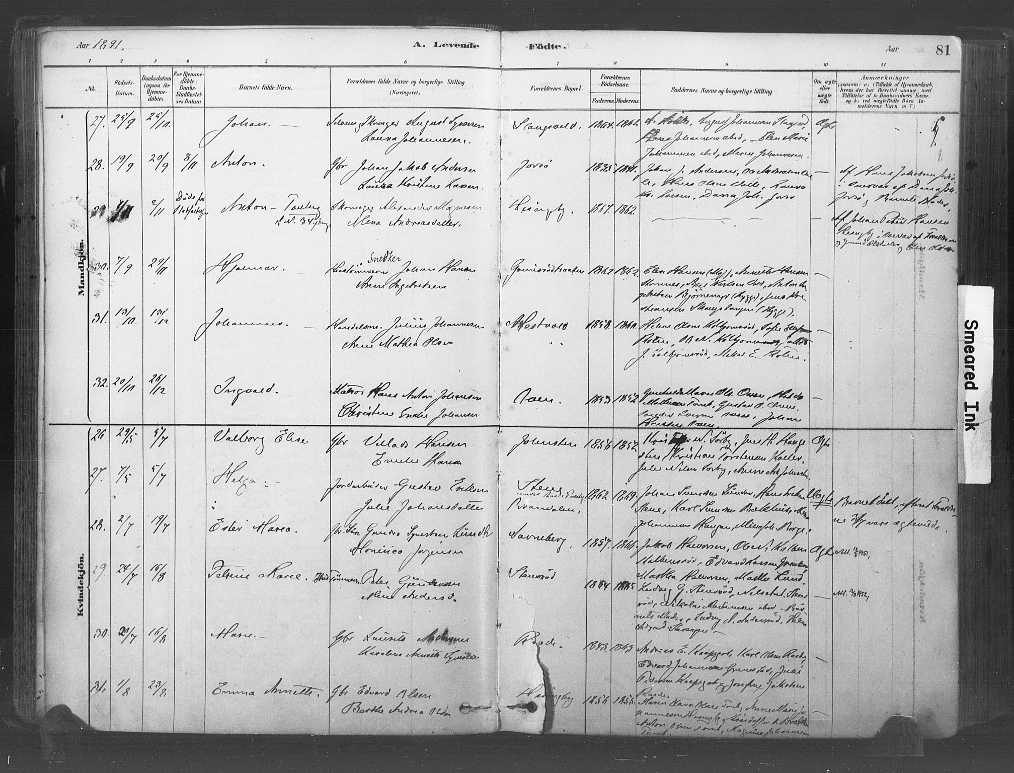 Råde prestekontor kirkebøker, AV/SAO-A-2009/F/Fa/L0007: Ministerialbok nr. 7, 1878-1902, s. 81