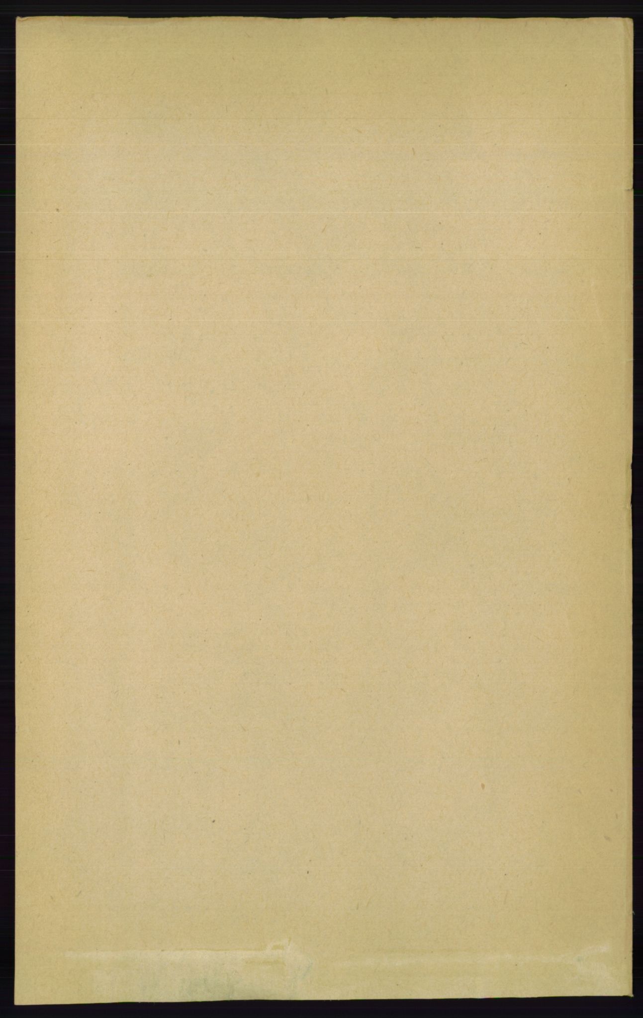 RA, Folketelling 1891 for 0915 Dypvåg herred, 1891, s. 4740