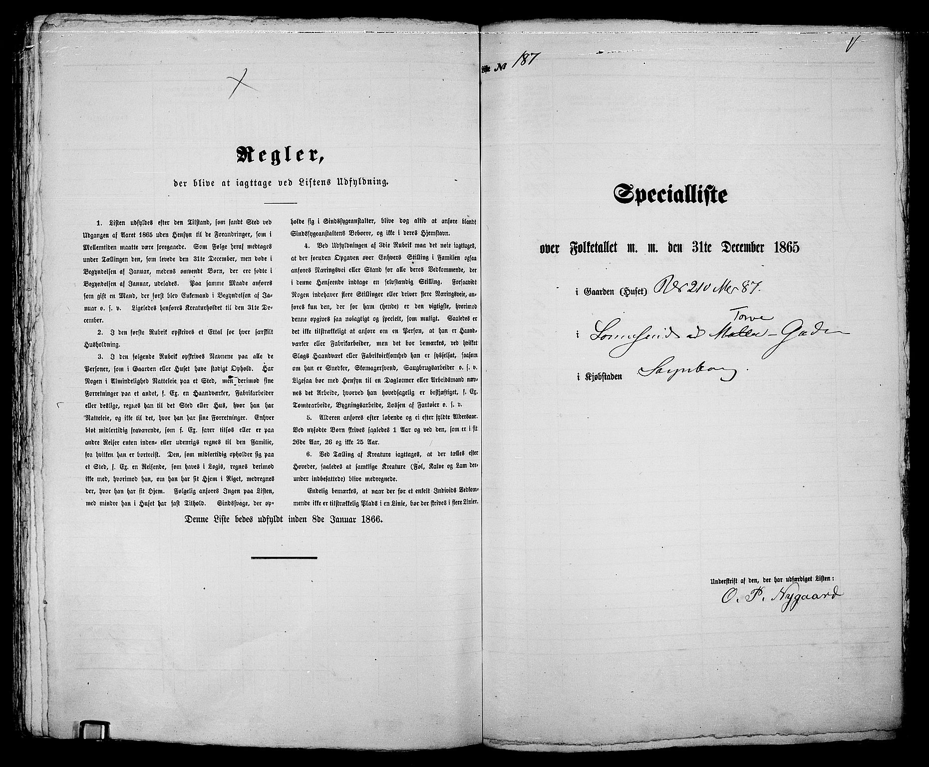 RA, Folketelling 1865 for 0102P Sarpsborg prestegjeld, 1865, s. 381
