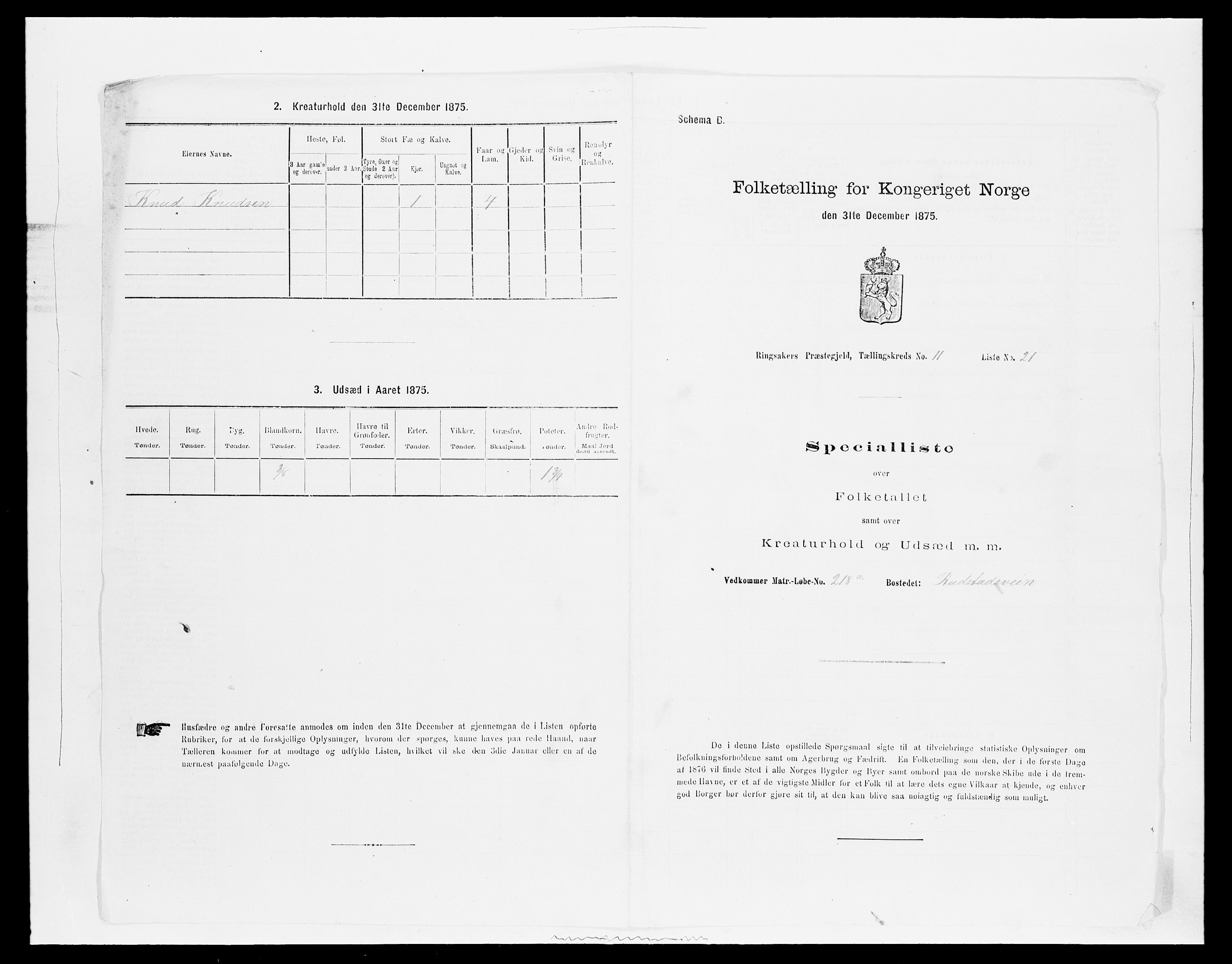 SAH, Folketelling 1875 for 0412P Ringsaker prestegjeld, 1875, s. 2408