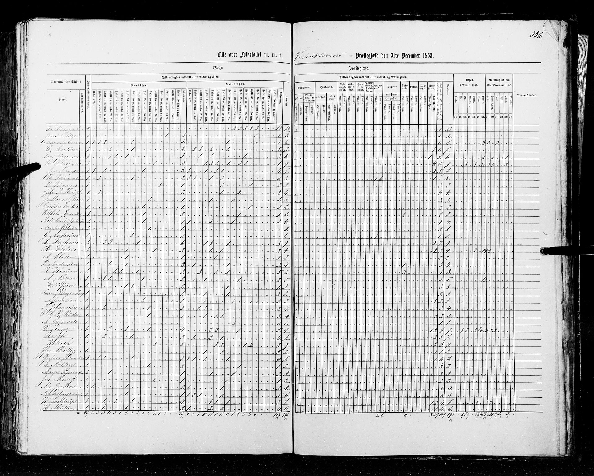 RA, Folketellingen 1855, bind 2: Kristians amt, Buskerud amt og Jarlsberg og Larvik amt, 1855, s. 356