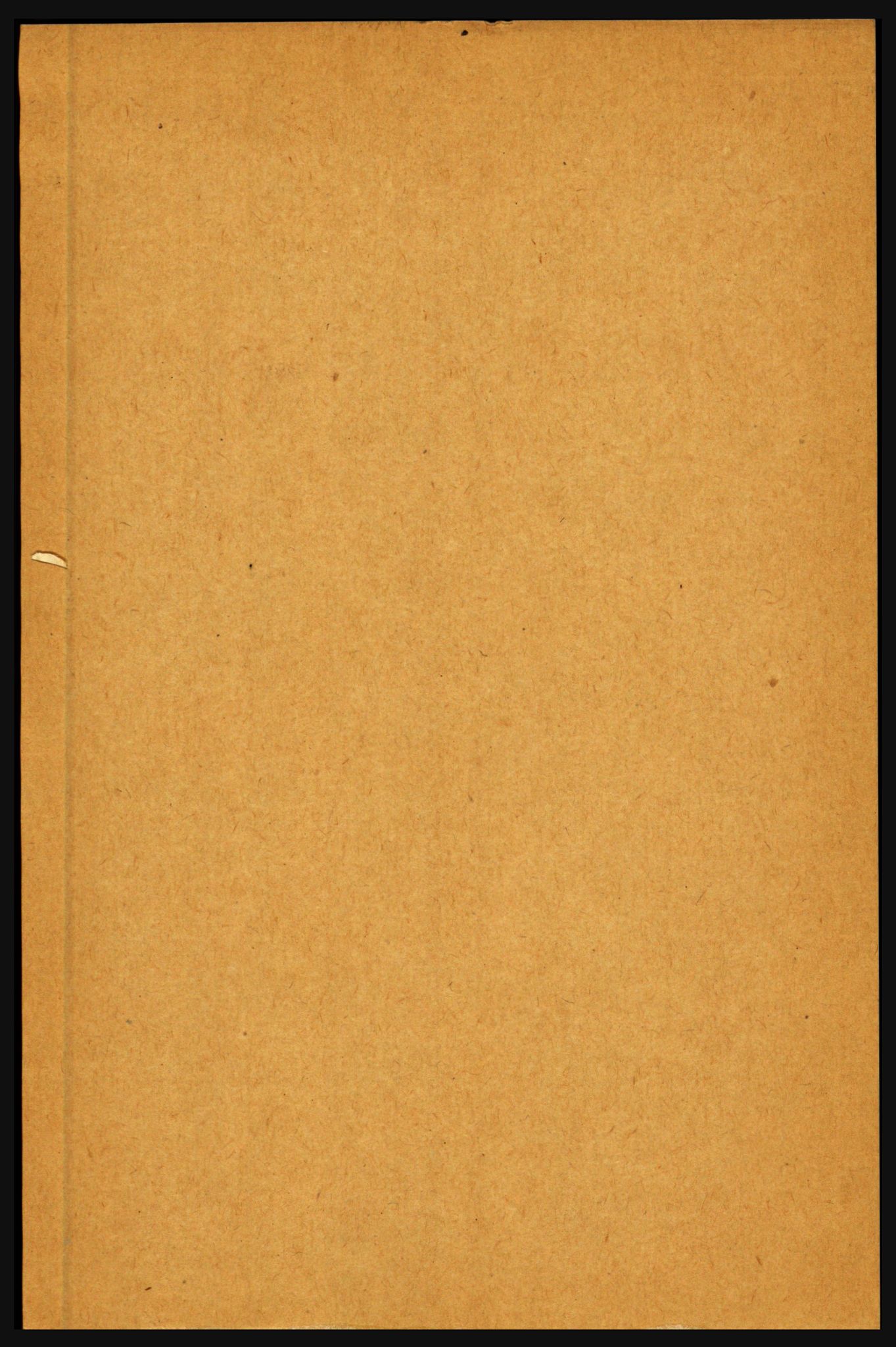 RA, Folketelling 1891 for 1429 Ytre Holmedal herred, 1891, s. 81