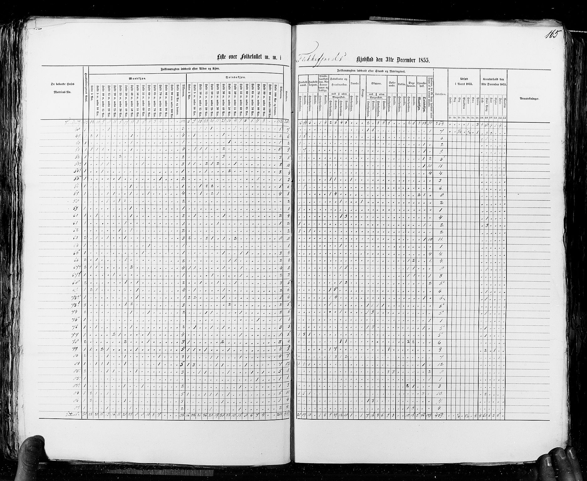 RA, Folketellingen 1855, bind 8: Kjøpsteder og ladesteder: Risør-Vadsø, 1855, s. 165