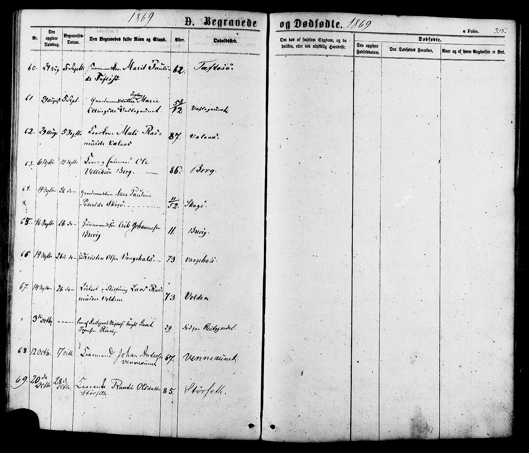 Ministerialprotokoller, klokkerbøker og fødselsregistre - Sør-Trøndelag, SAT/A-1456/630/L0495: Ministerialbok nr. 630A08, 1868-1878, s. 315