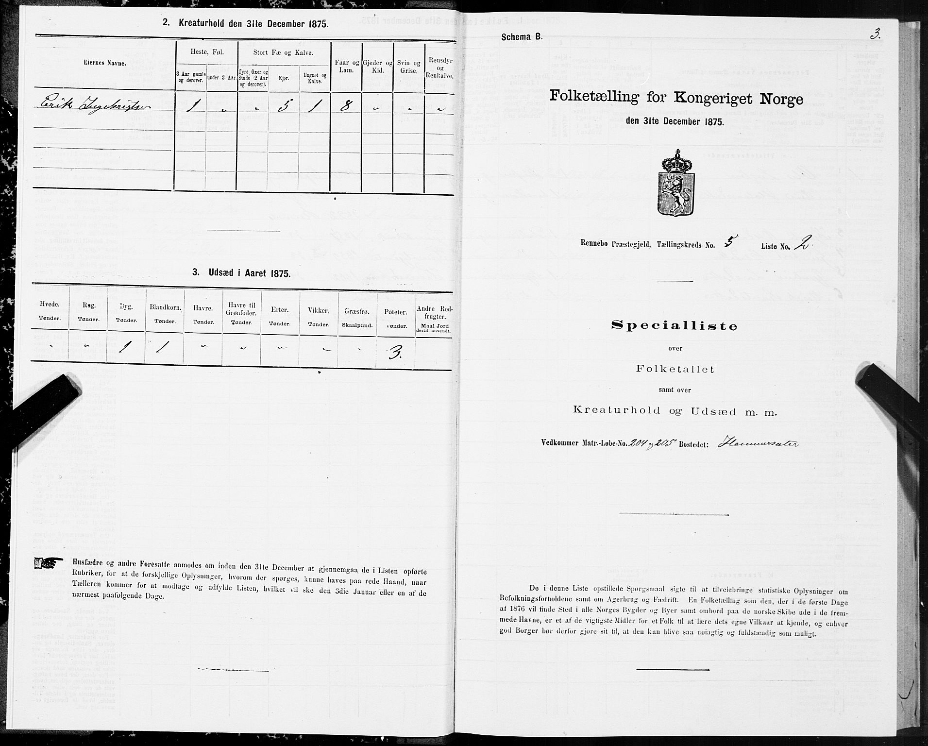 SAT, Folketelling 1875 for 1635P Rennebu prestegjeld, 1875, s. 3003