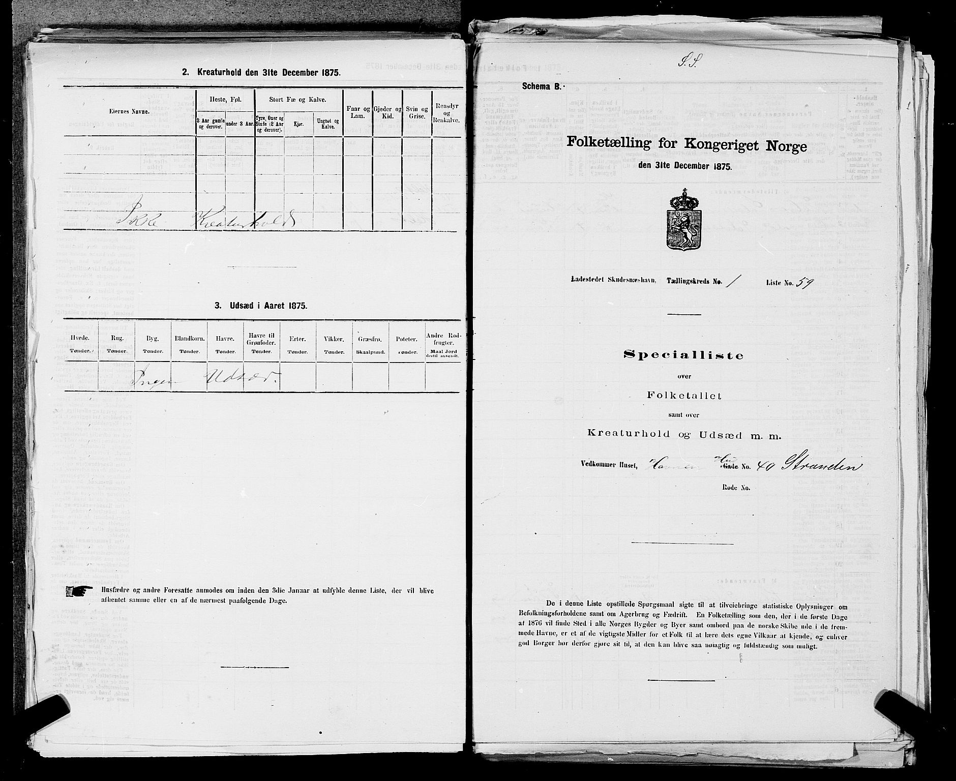 SAST, Folketelling 1875 for 1104B Skudenes prestegjeld, Skudeneshavn ladested, 1875, s. 123