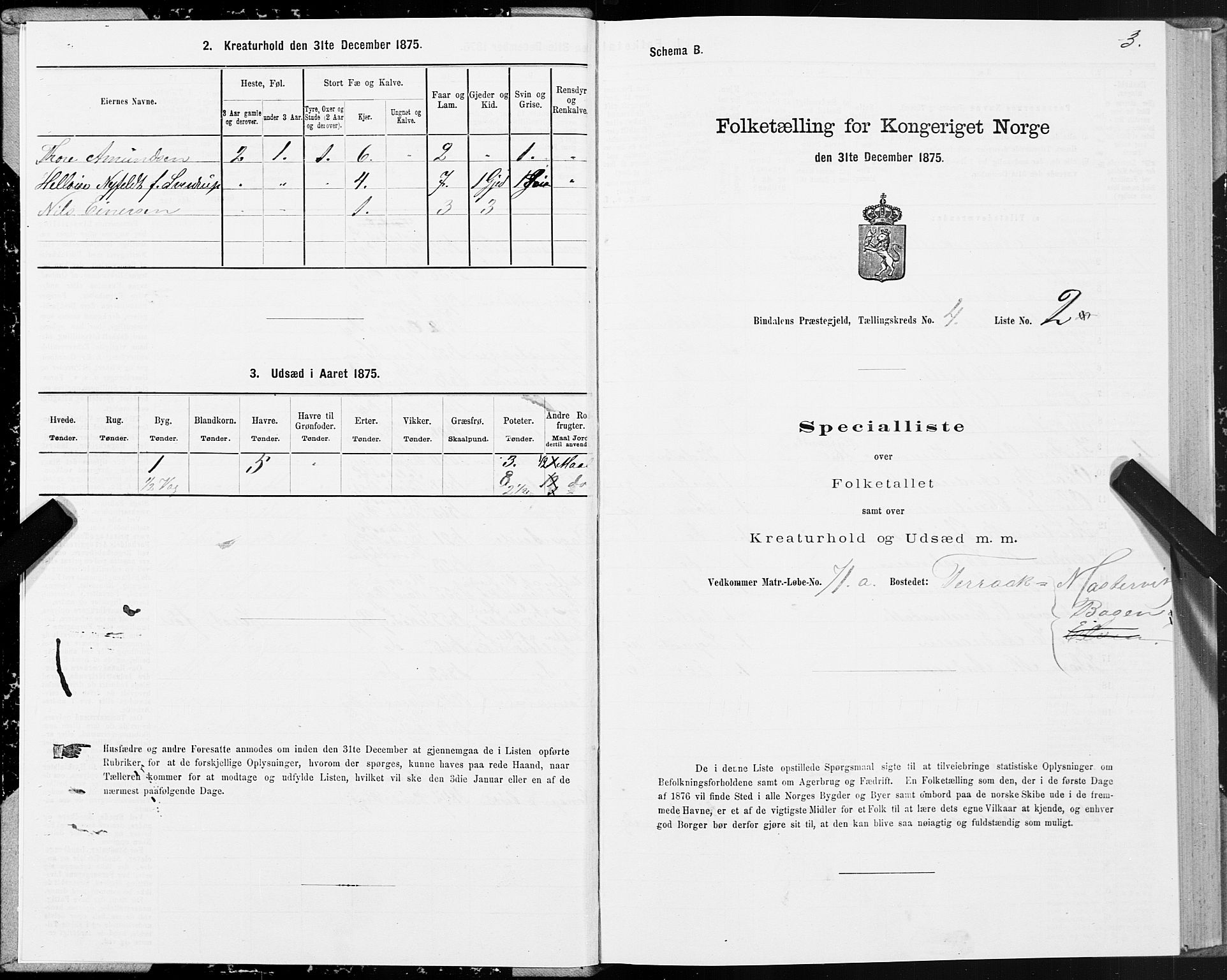 SAT, Folketelling 1875 for 1811P Bindal prestegjeld, 1875, s. 2003