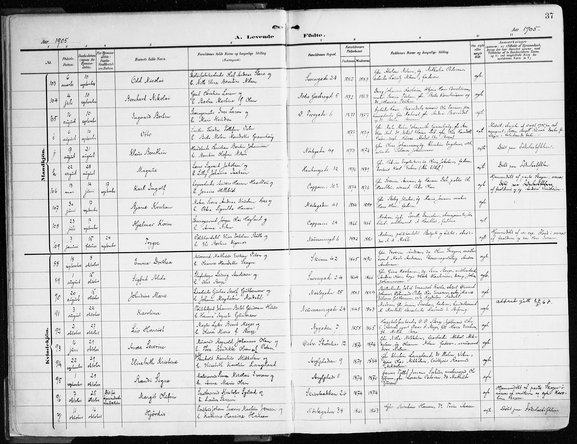 Domkirken sokneprestembete, AV/SAB-A-74801/H/Haa/L0025: Ministerialbok nr. B 8, 1903-1925, s. 37