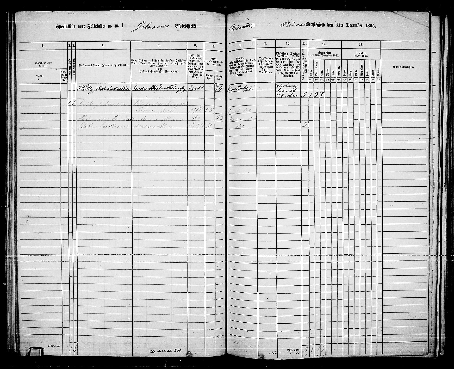 RA, Folketelling 1865 for 0436P Tolga prestegjeld, 1865, s. 138