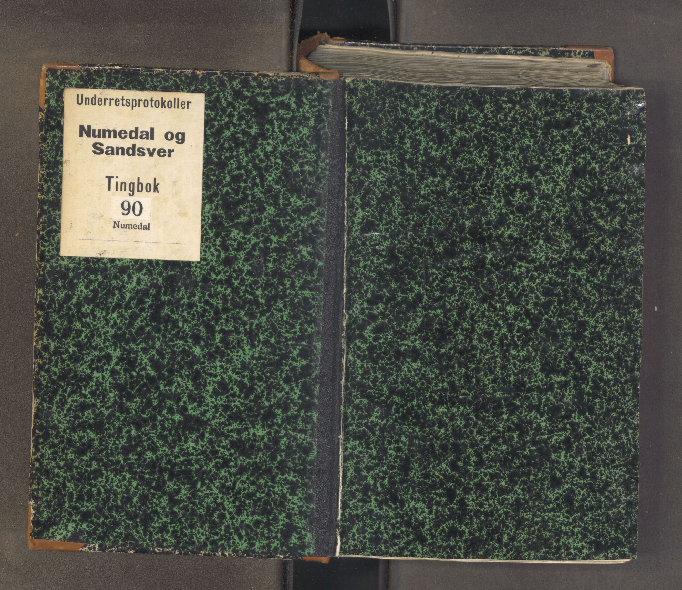 Numedal og Sandsvær sorenskriveri, AV/SAKO-A-128/F/Fa/Faa/L0088: Tingbok for Numedal, 1832-1835