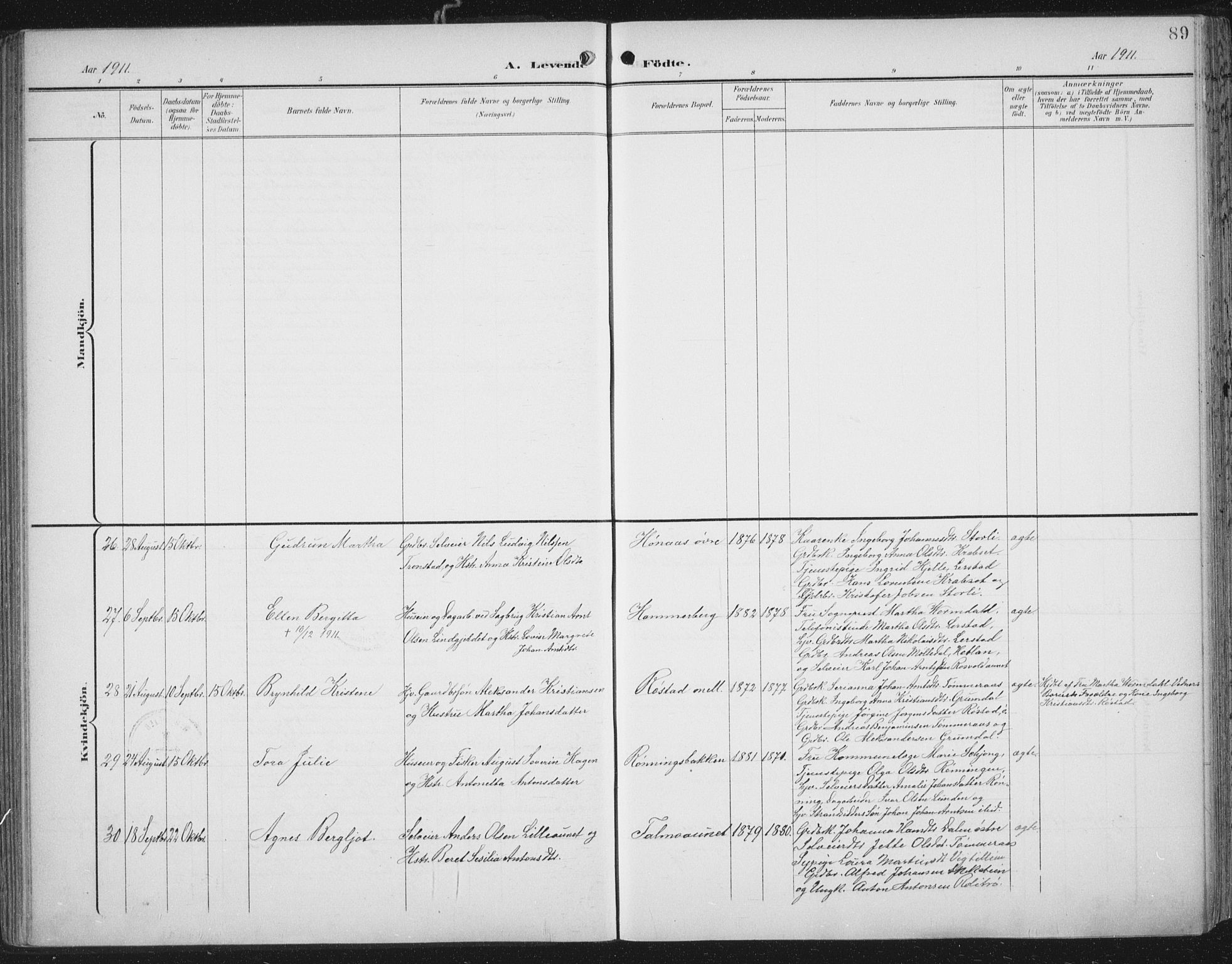 Ministerialprotokoller, klokkerbøker og fødselsregistre - Nord-Trøndelag, SAT/A-1458/701/L0011: Ministerialbok nr. 701A11, 1899-1915, s. 89