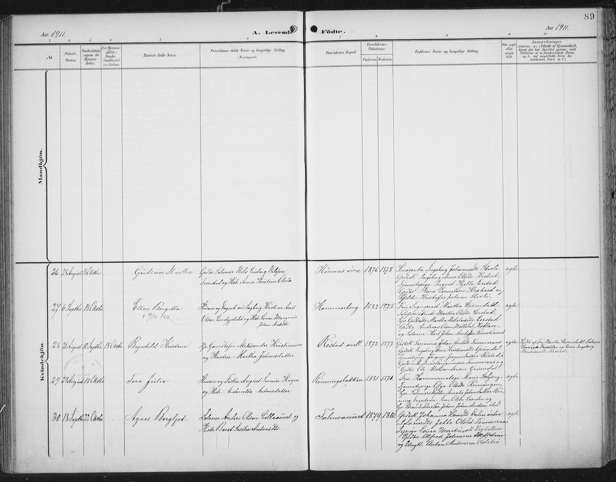 Ministerialprotokoller, klokkerbøker og fødselsregistre - Nord-Trøndelag, AV/SAT-A-1458/701/L0011: Ministerialbok nr. 701A11, 1899-1915, s. 89