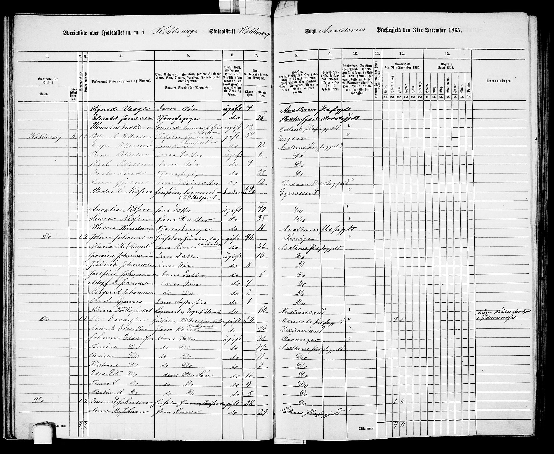 RA, Folketelling 1865 for 1147P Avaldsnes prestegjeld, 1865, s. 43