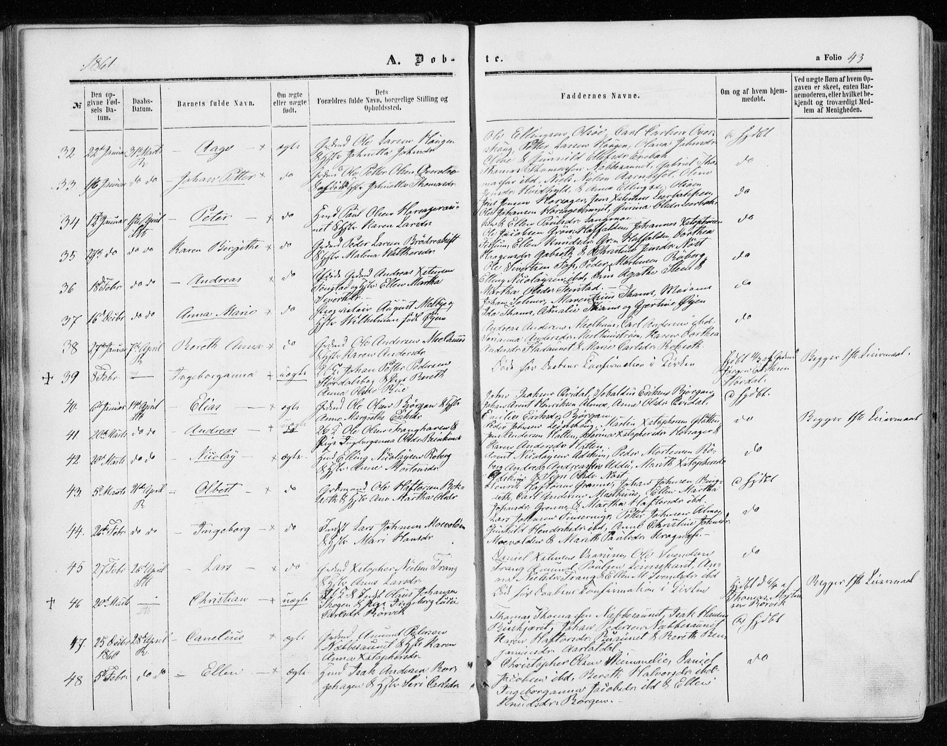 Ministerialprotokoller, klokkerbøker og fødselsregistre - Sør-Trøndelag, SAT/A-1456/646/L0612: Ministerialbok nr. 646A10, 1858-1869, s. 43