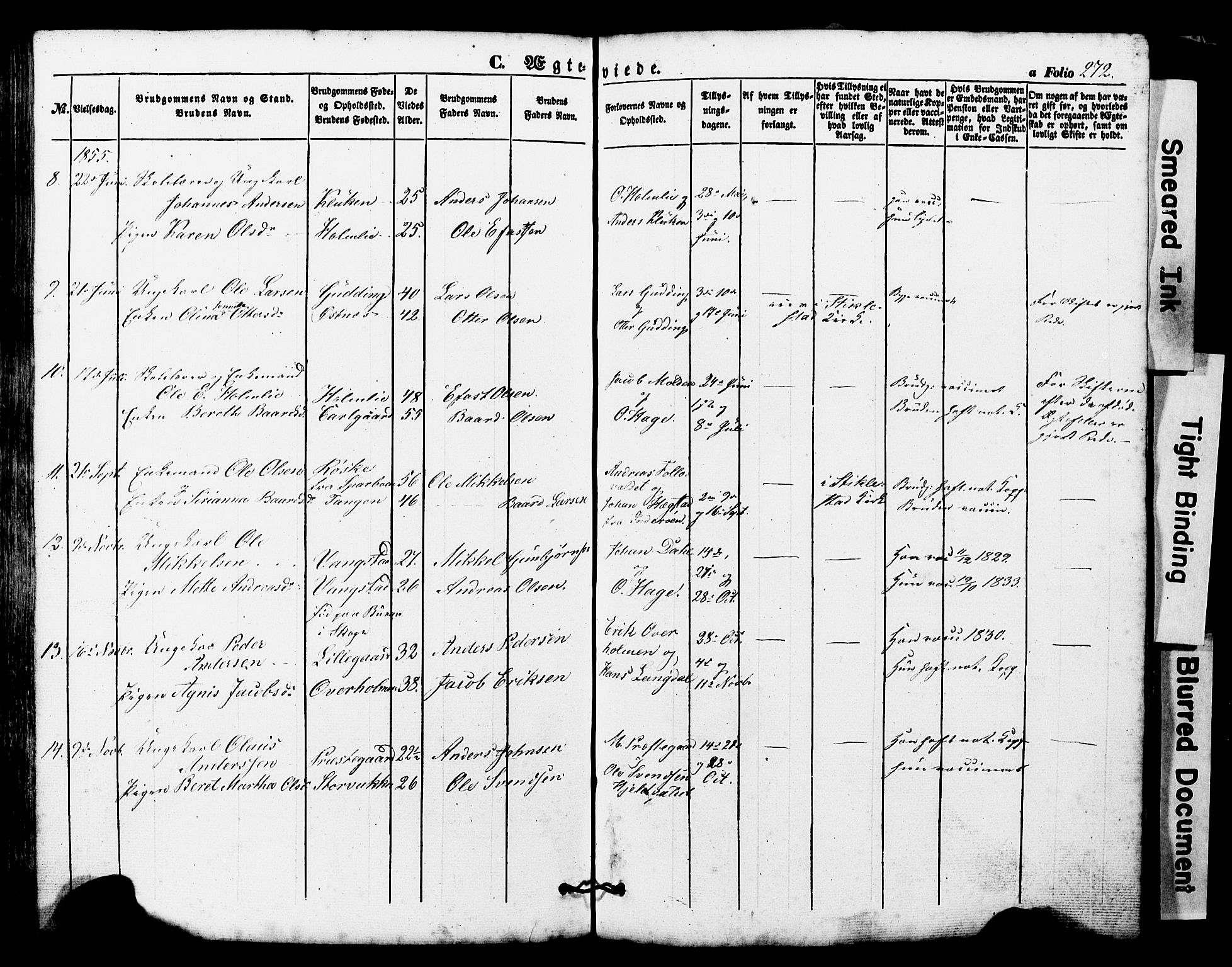 Ministerialprotokoller, klokkerbøker og fødselsregistre - Nord-Trøndelag, SAT/A-1458/724/L0268: Klokkerbok nr. 724C04, 1846-1878, s. 272