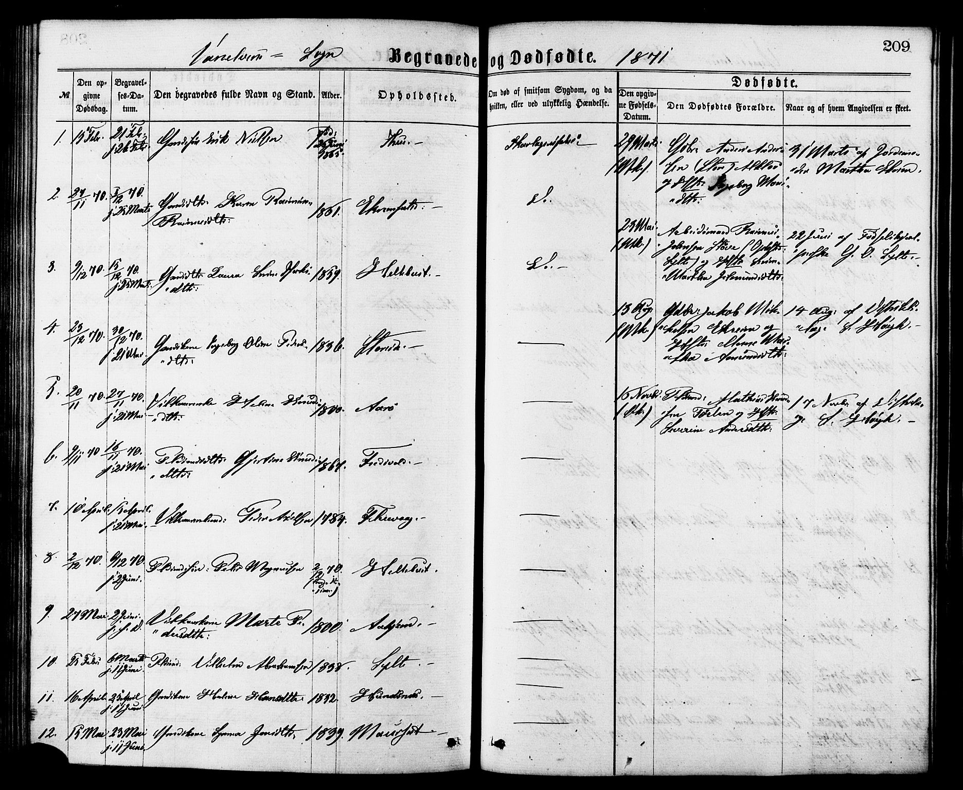 Ministerialprotokoller, klokkerbøker og fødselsregistre - Møre og Romsdal, AV/SAT-A-1454/501/L0007: Ministerialbok nr. 501A07, 1868-1884, s. 209