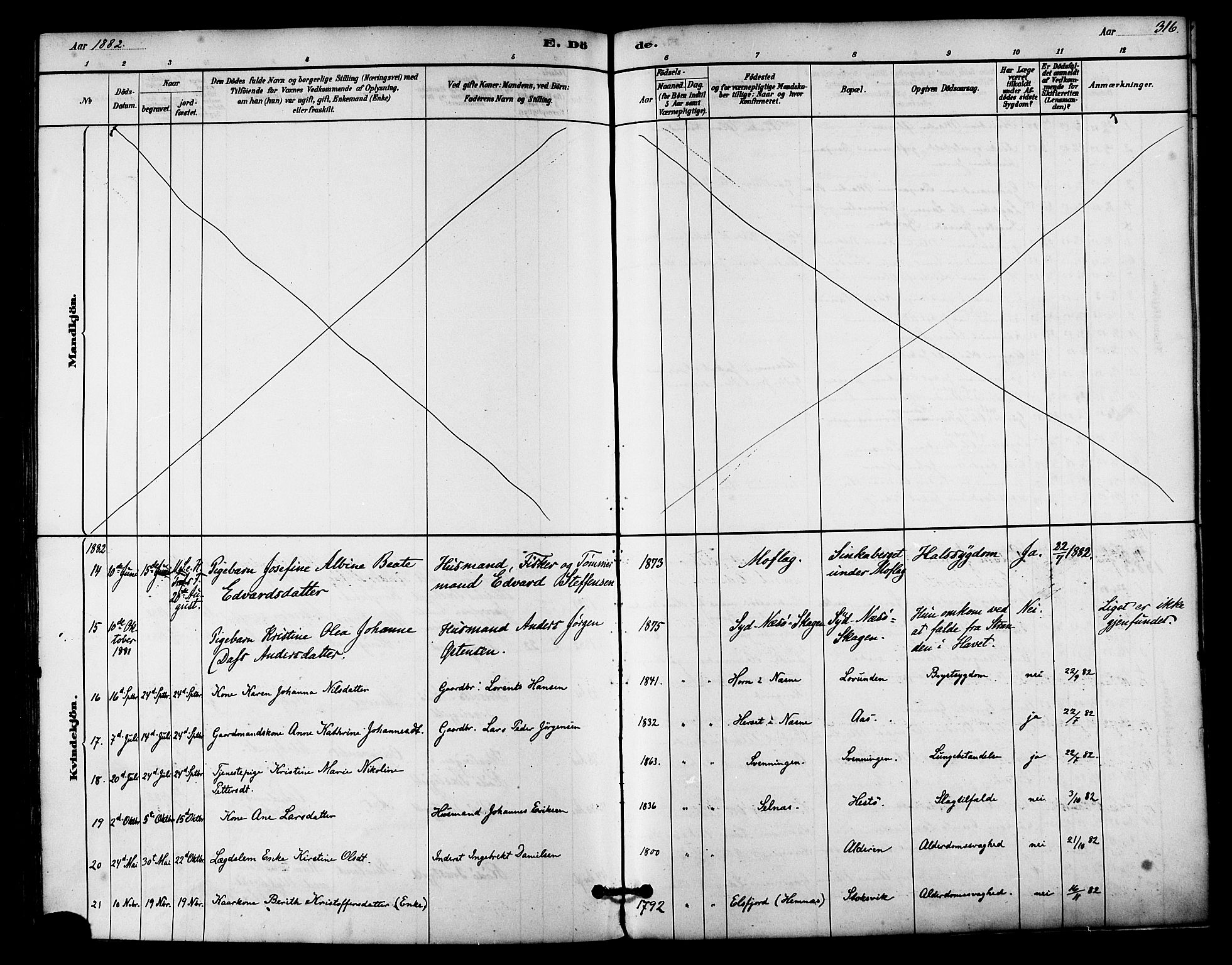 Ministerialprotokoller, klokkerbøker og fødselsregistre - Nordland, AV/SAT-A-1459/839/L0568: Ministerialbok nr. 839A05, 1880-1902, s. 316