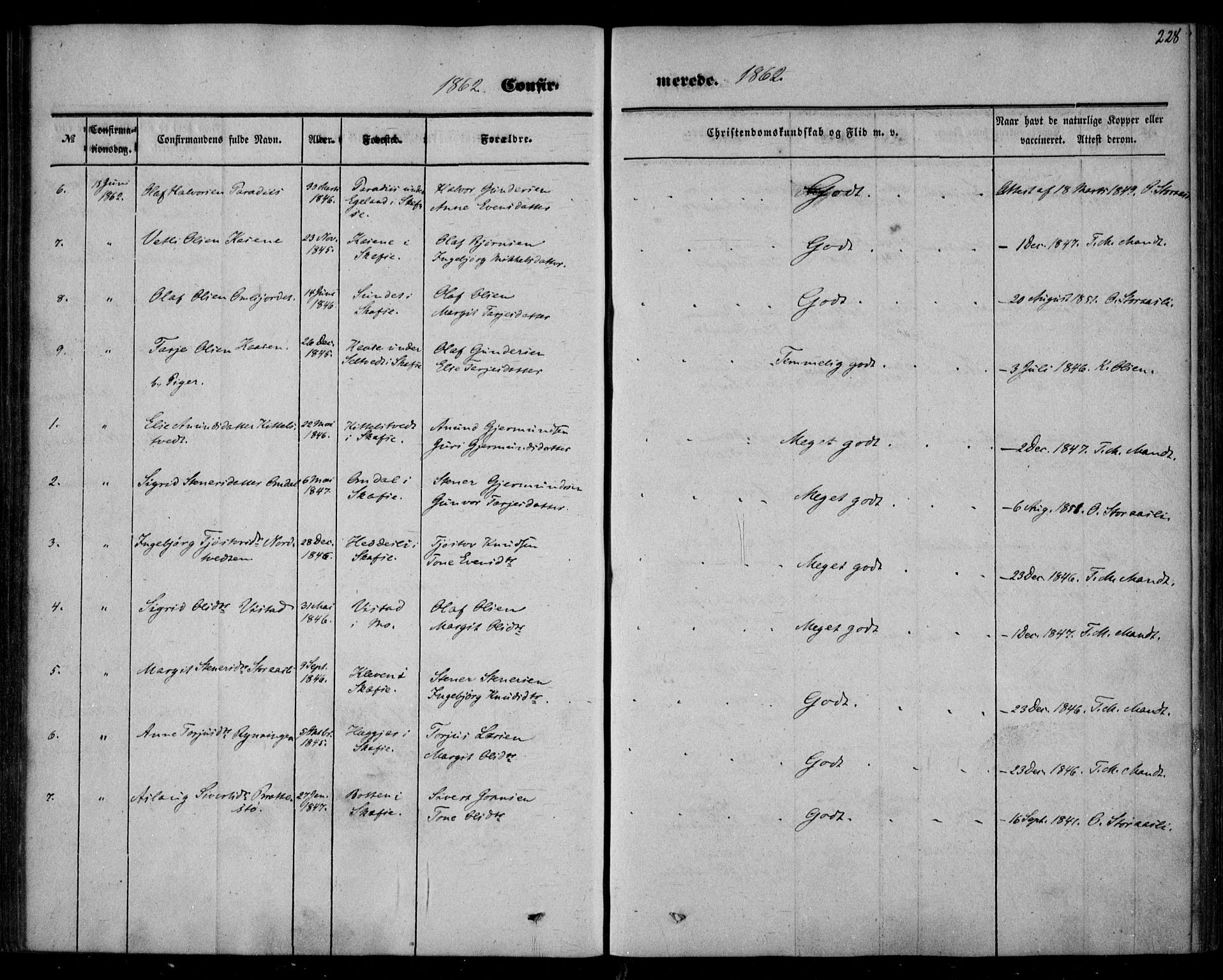 Mo kirkebøker, AV/SAKO-A-286/F/Fa/L0005: Ministerialbok nr. I 5, 1844-1864, s. 228