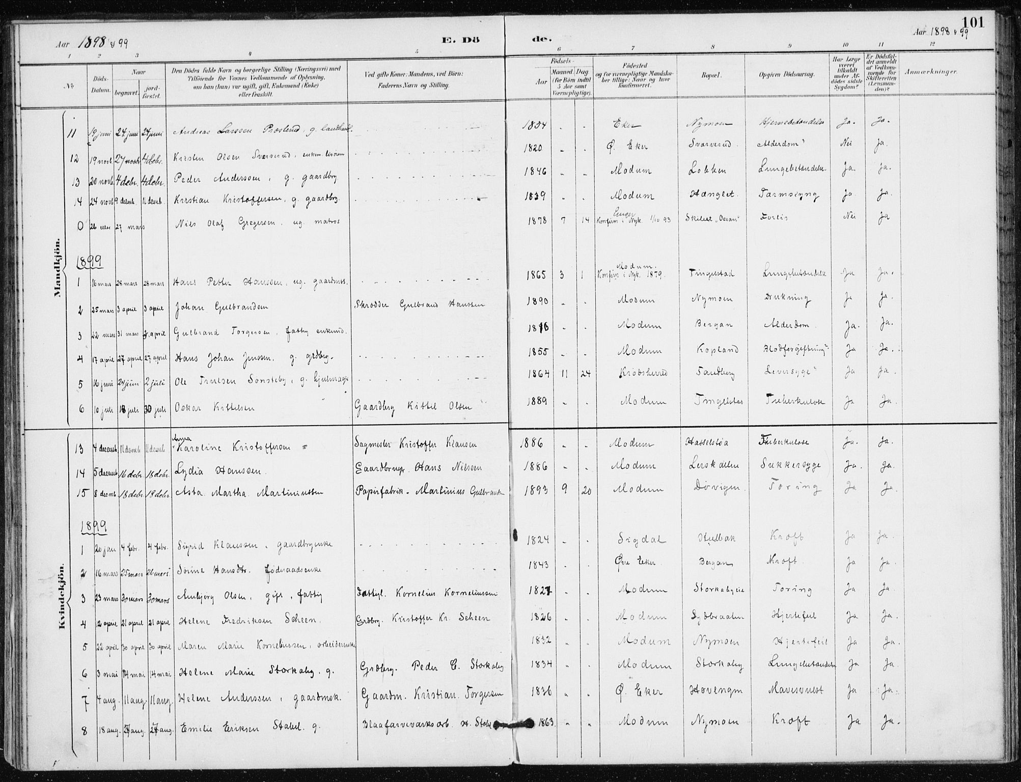 Modum kirkebøker, AV/SAKO-A-234/F/Fa/L0016: Ministerialbok nr. 16, 1890-1899, s. 101